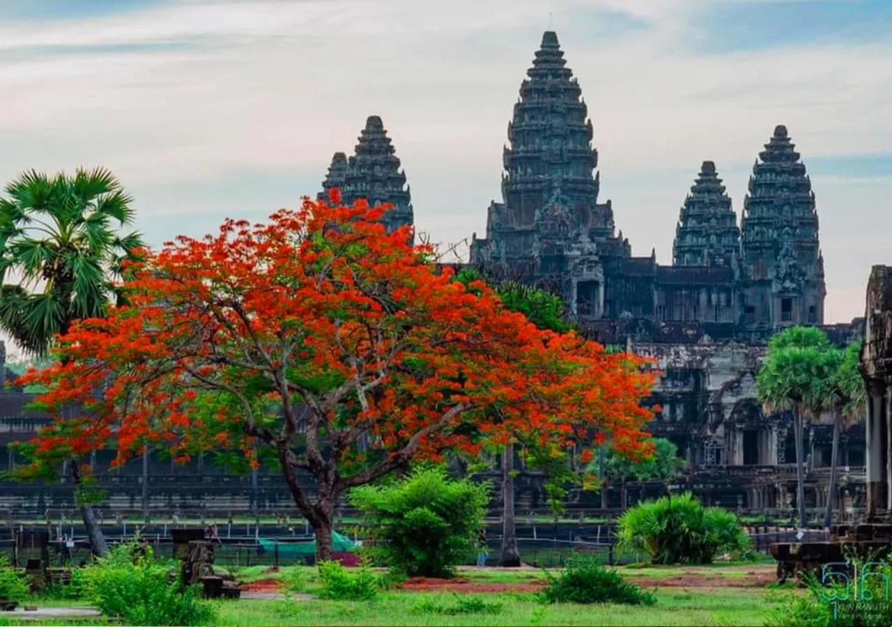 Natural landscape in Ladear Privilege Rooms