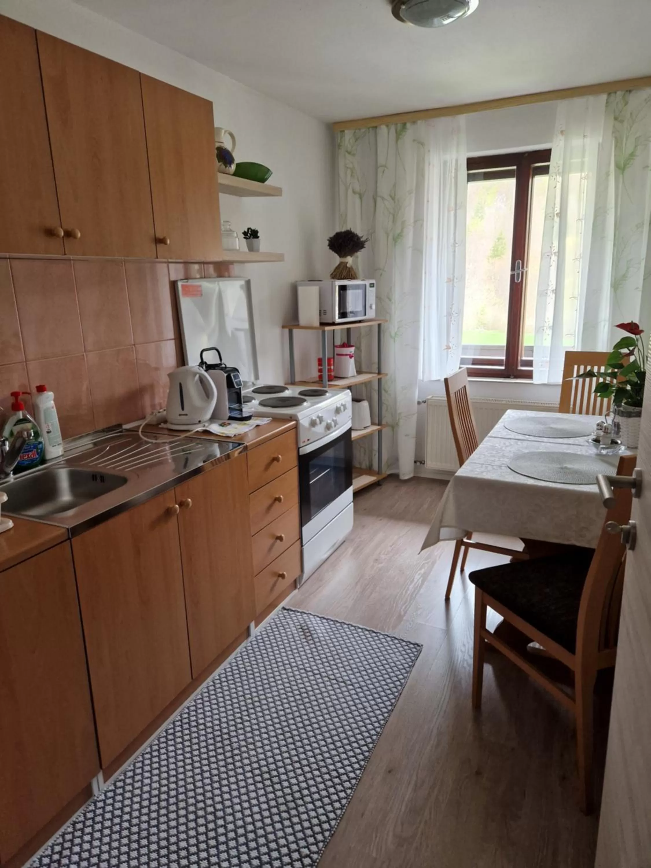 Communal kitchen, Kitchen/Kitchenette in Sobe Ćuskić