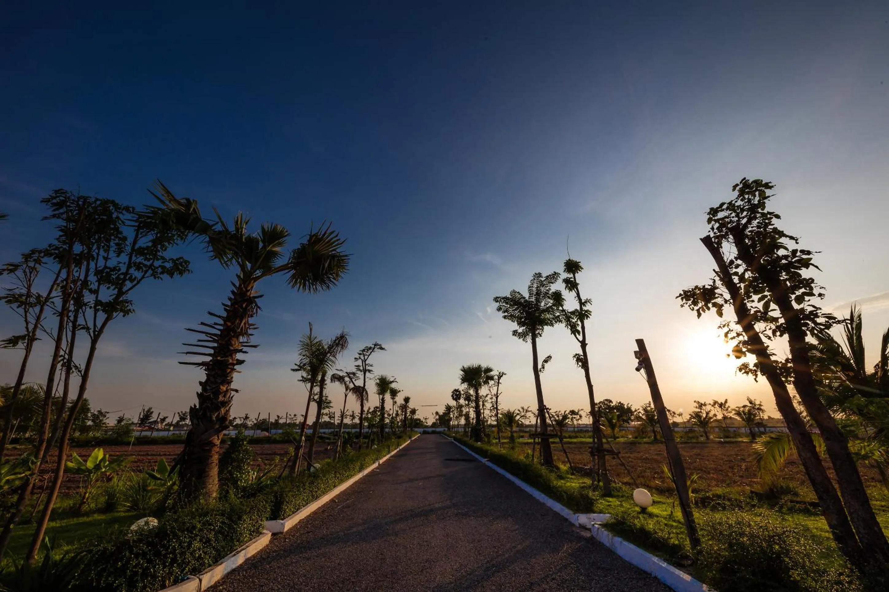 Garden in Angkor Rendezvous
