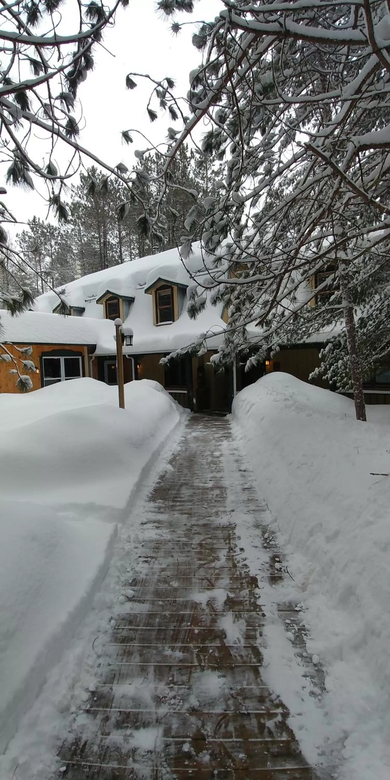 Facade/entrance in Auberge le Cosy Tremblant