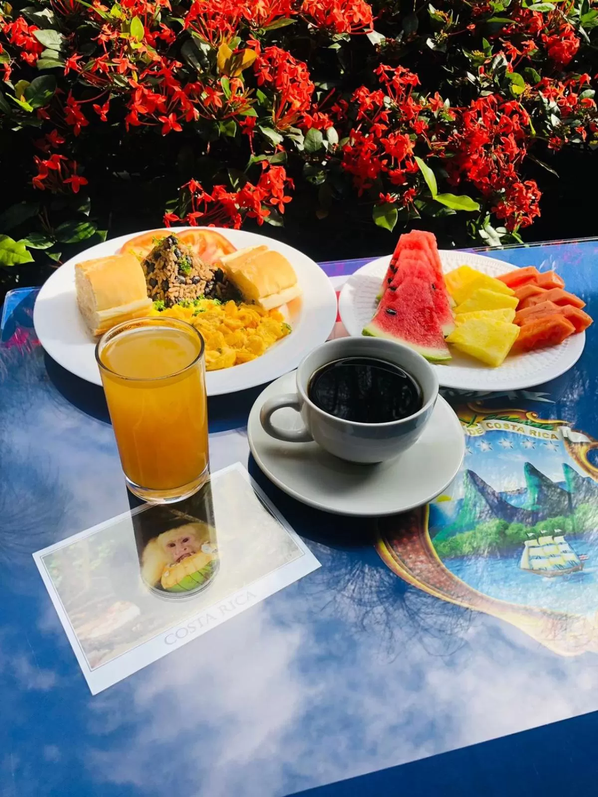 Breakfast in Brillasol Airport Hotel