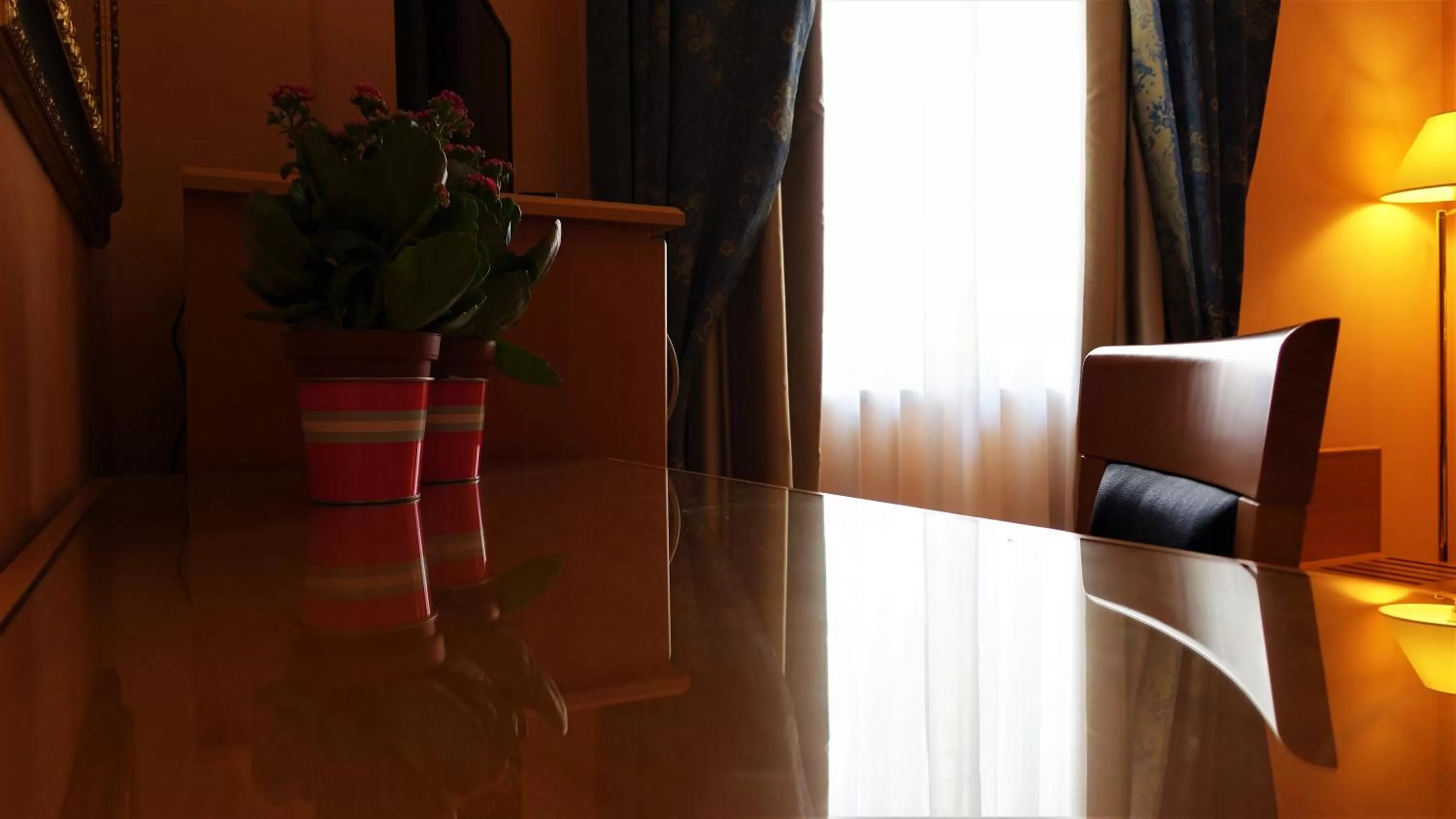 Area and facilities in Hotel Bristol