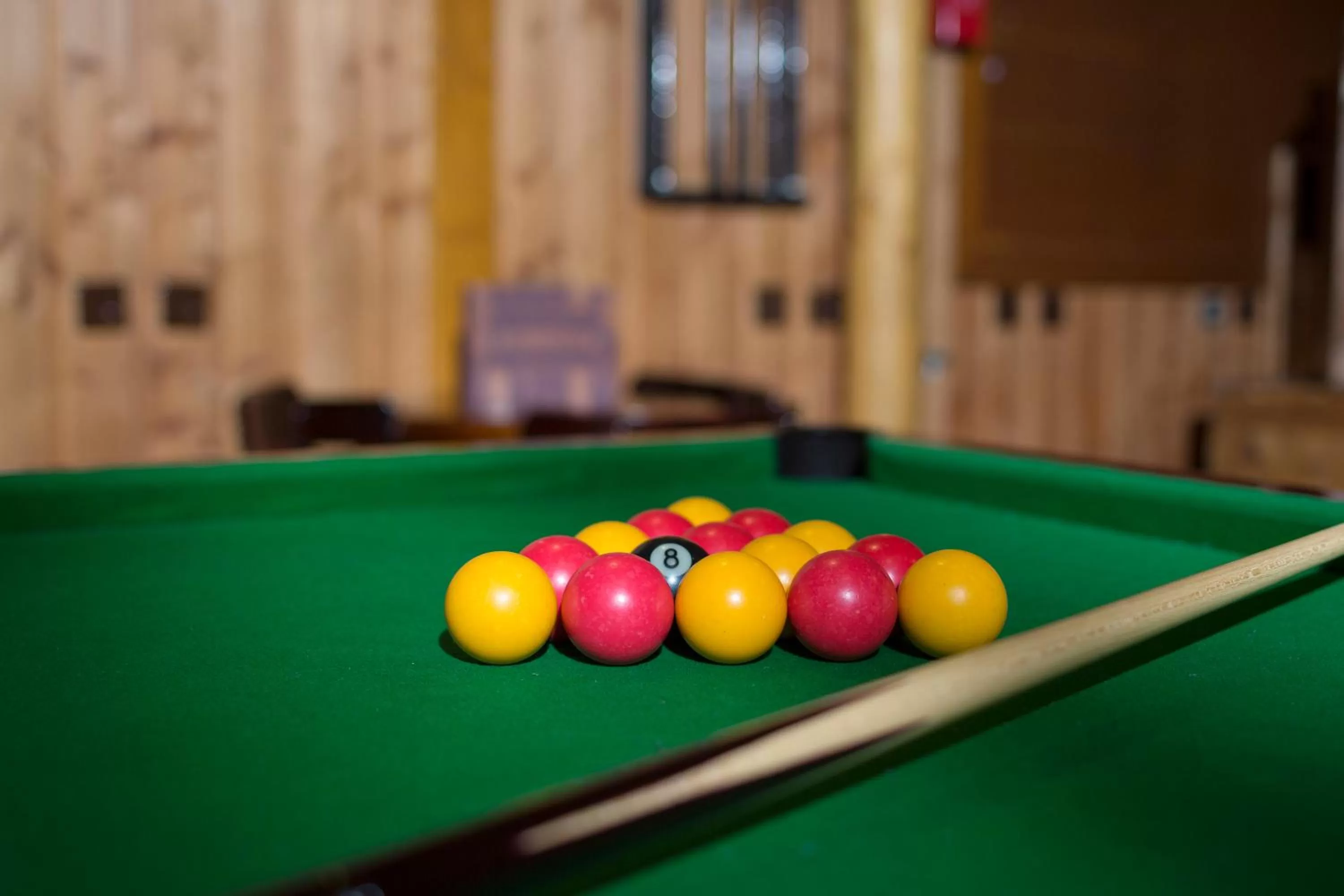 Billiard in Disney Davy Crockett Ranch