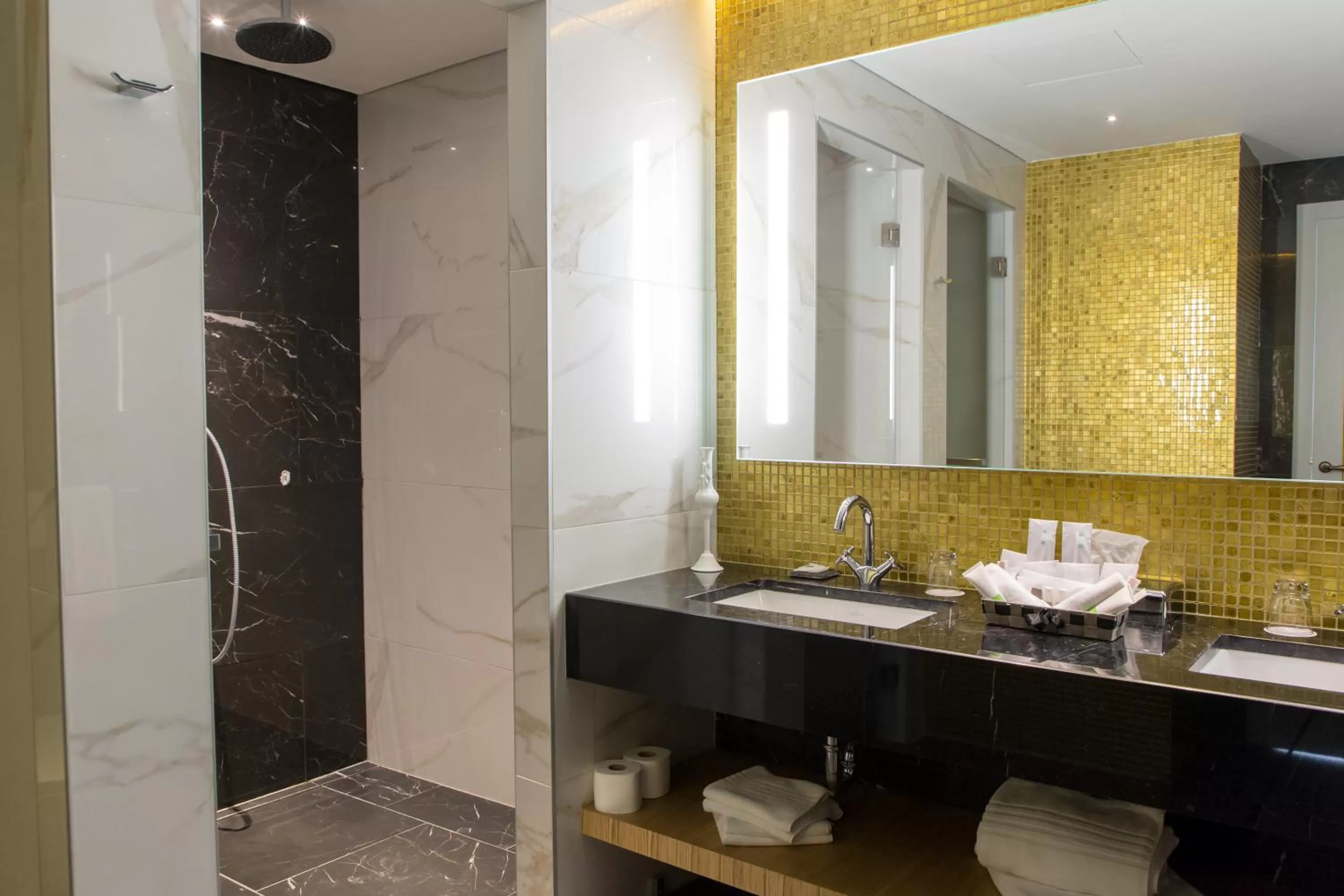 Shower in Swissotel Sarajevo