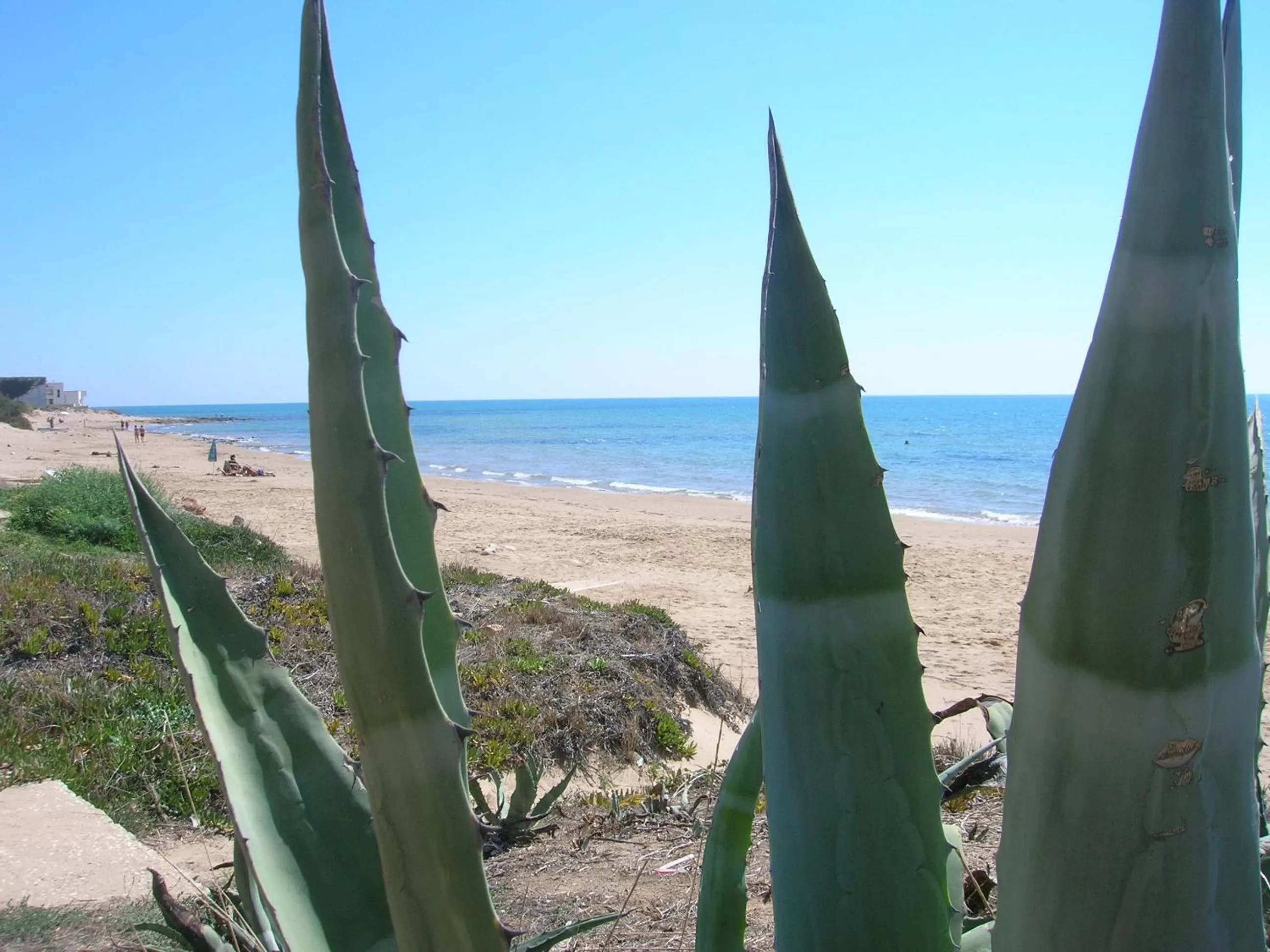Snorkeling, Beach in Casa Vacanze Sogno Siciliano