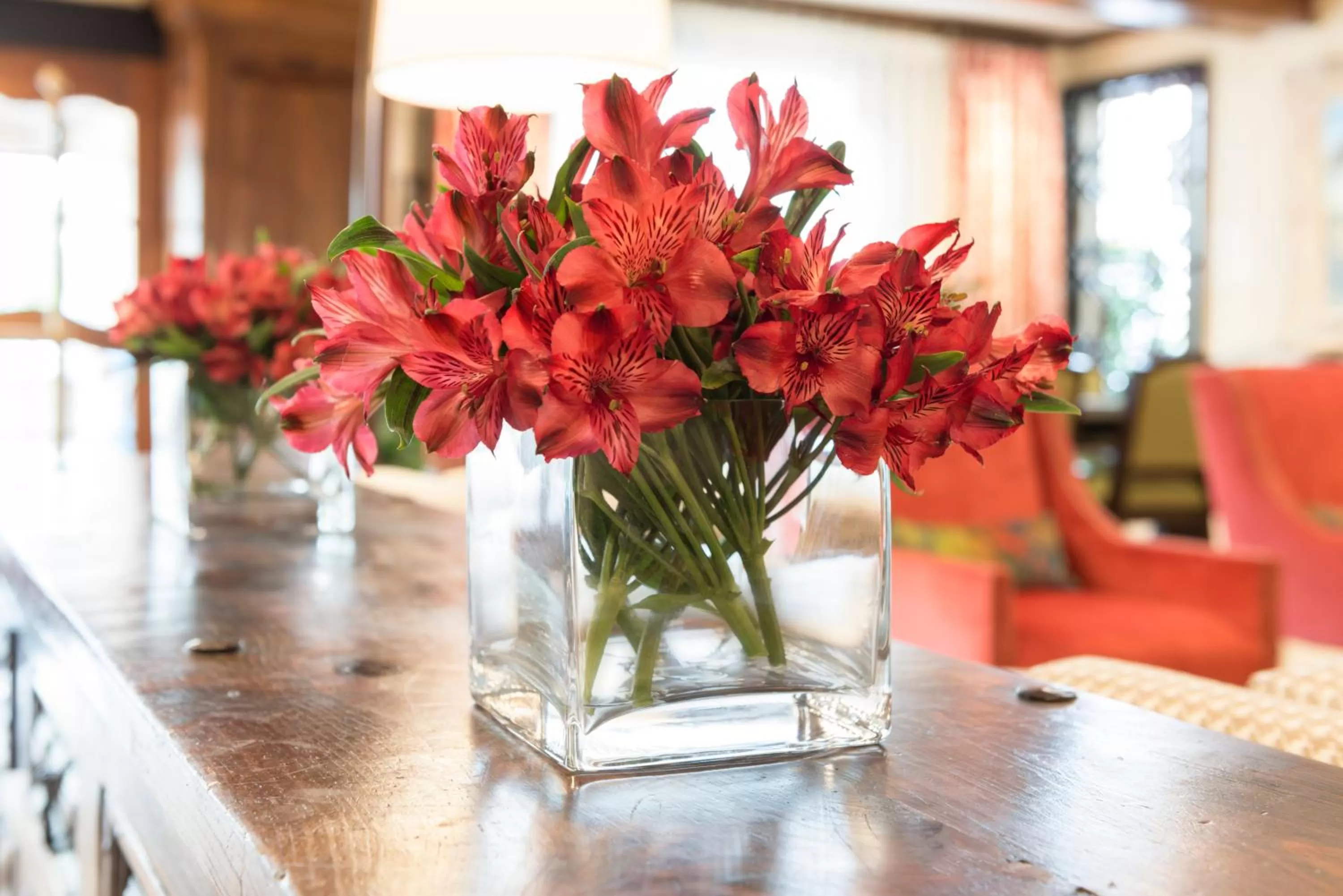 Area and facilities in Ayres Hotel Anaheim