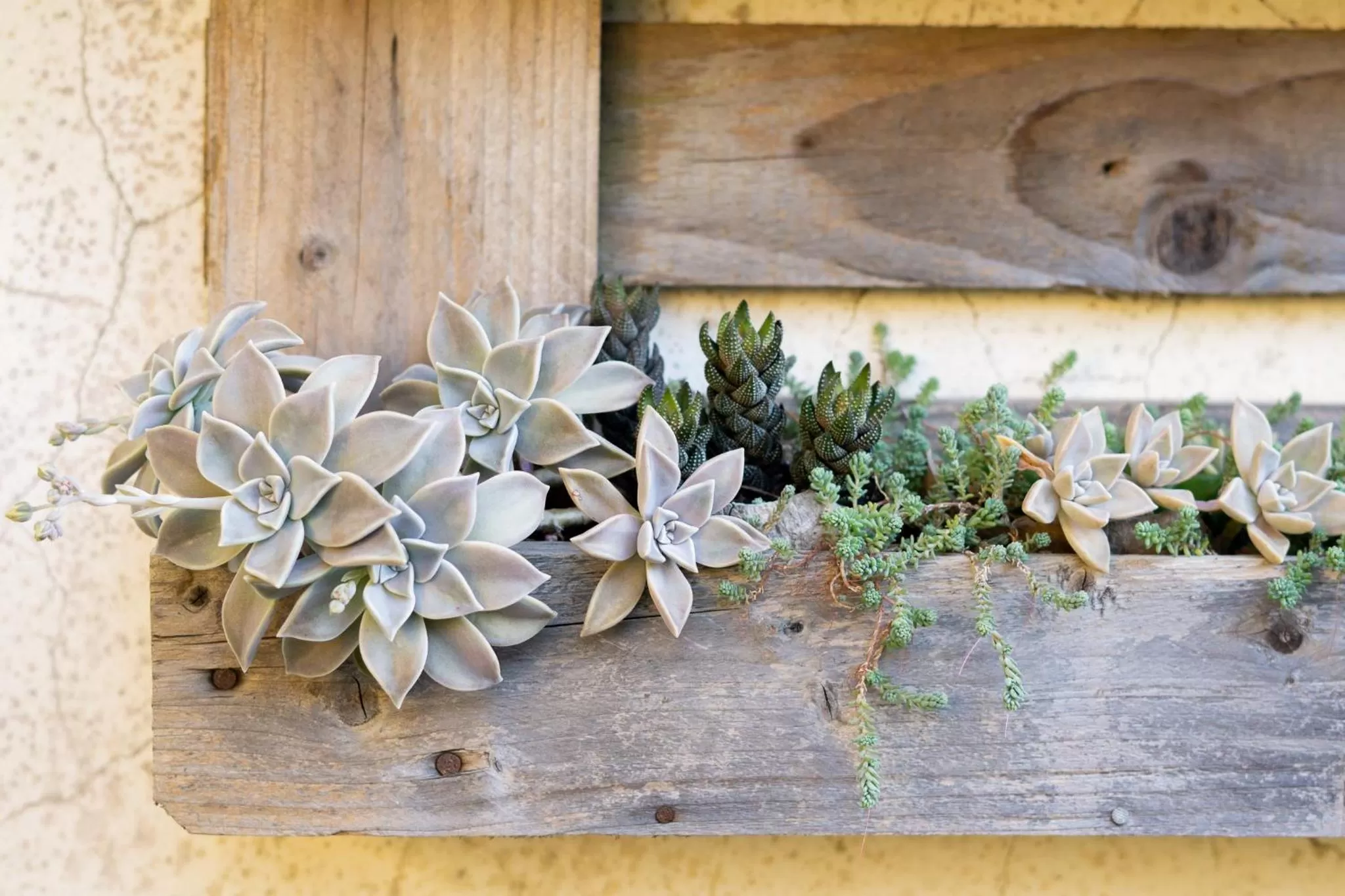 Casa dos Açores Cama e Café