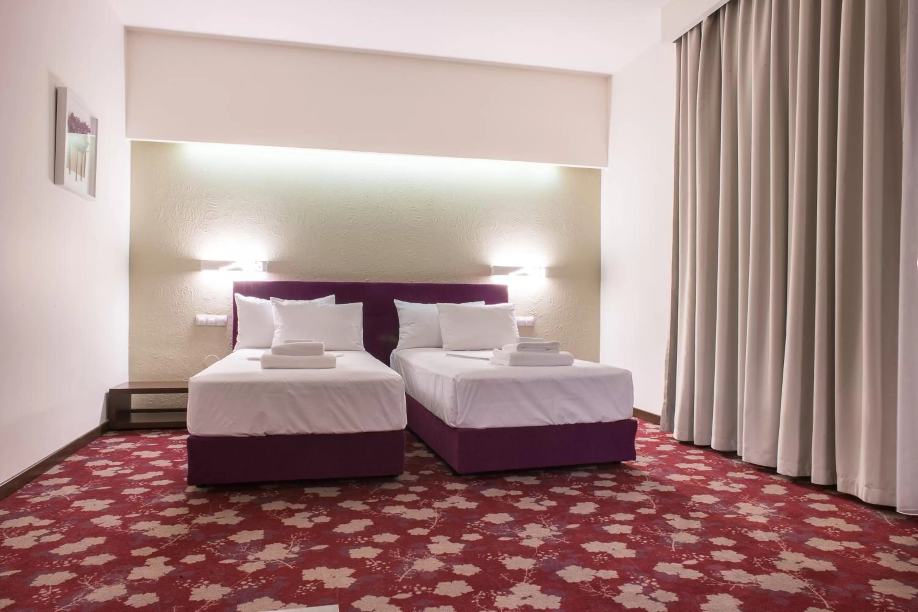 Classic Twin Room in Hotel Relax Craiova