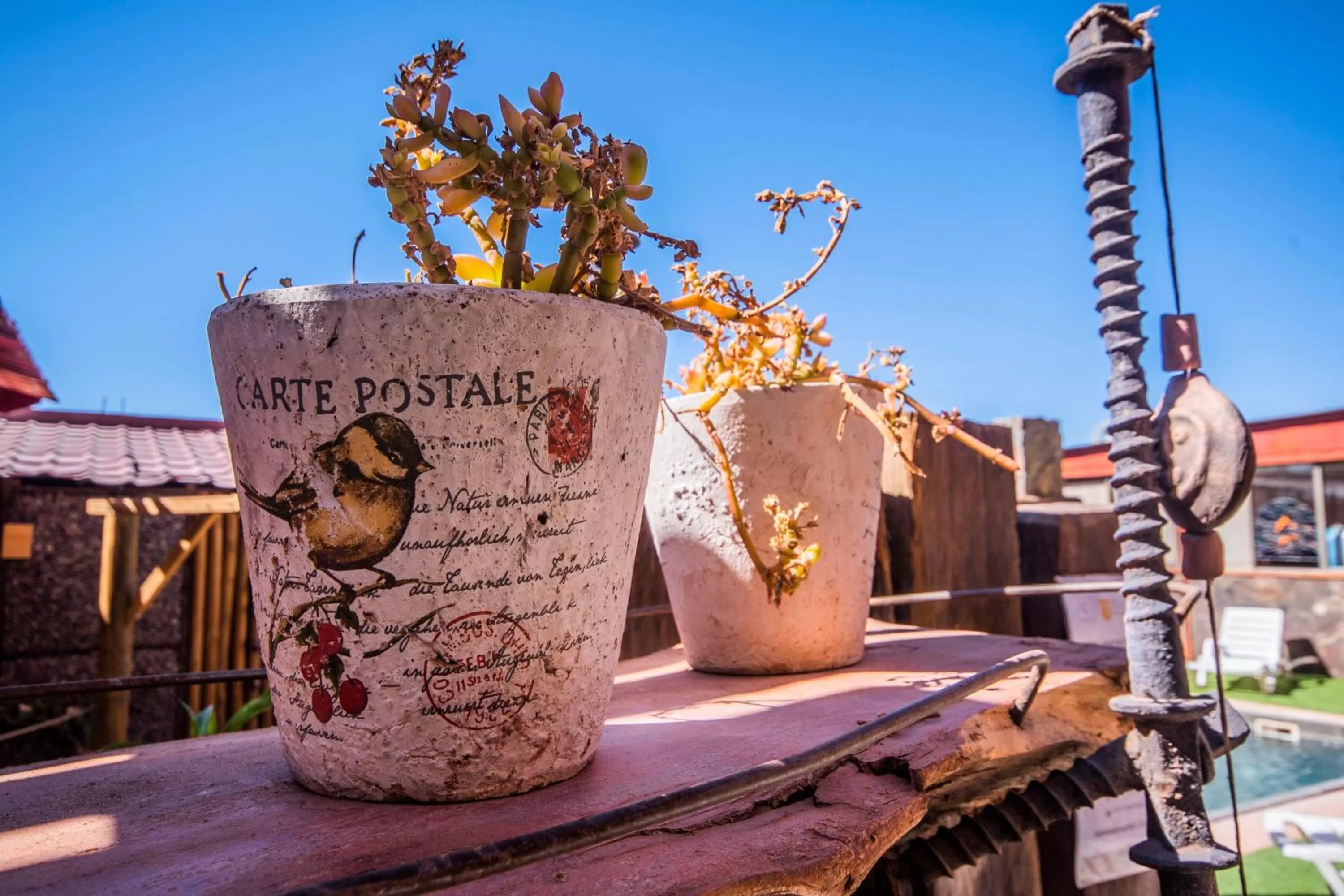 Hotel Casa Algarrobo