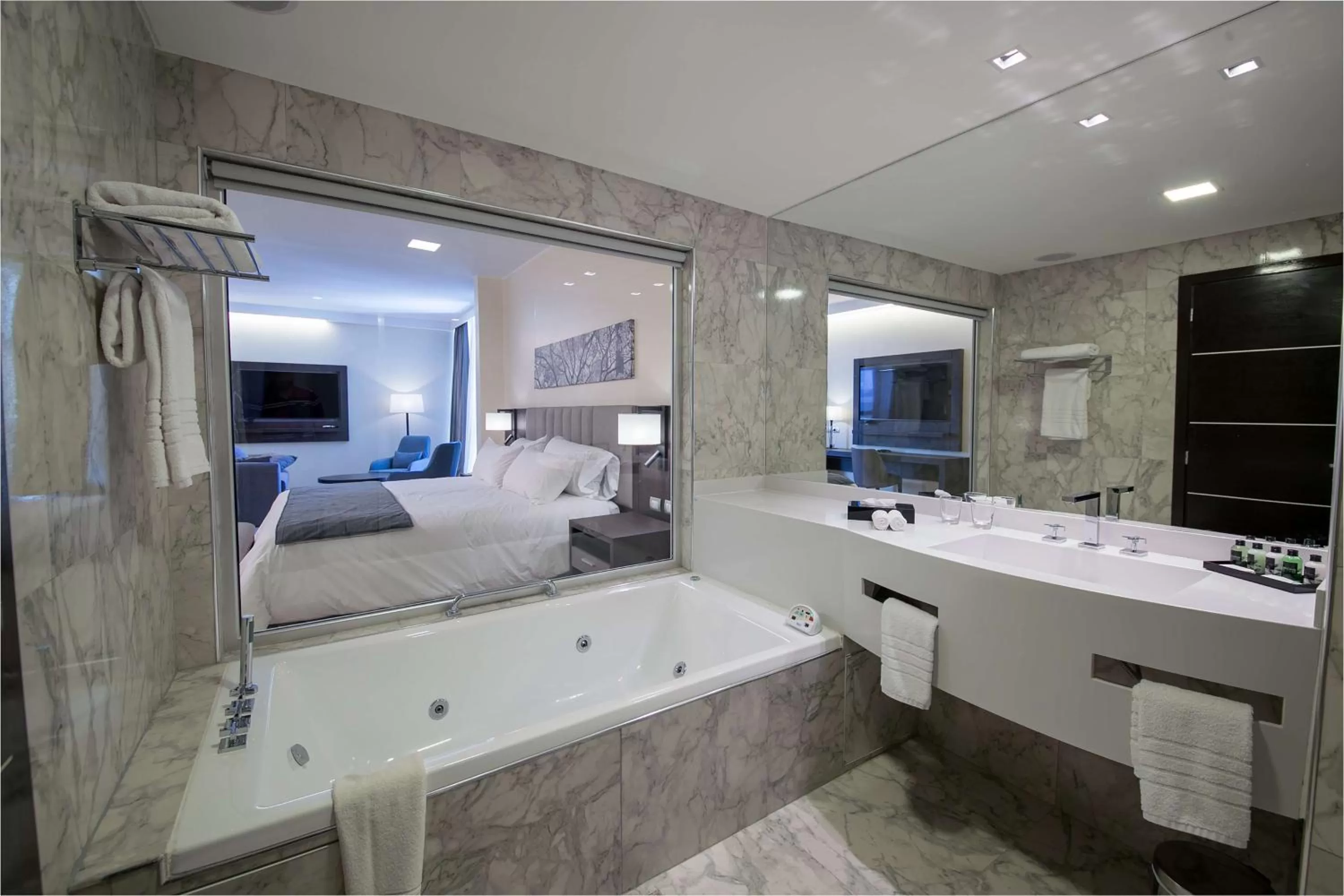 Bathroom, Bed in Hilton Garden Inn Santiago Del Estero - HILTON HOTELS