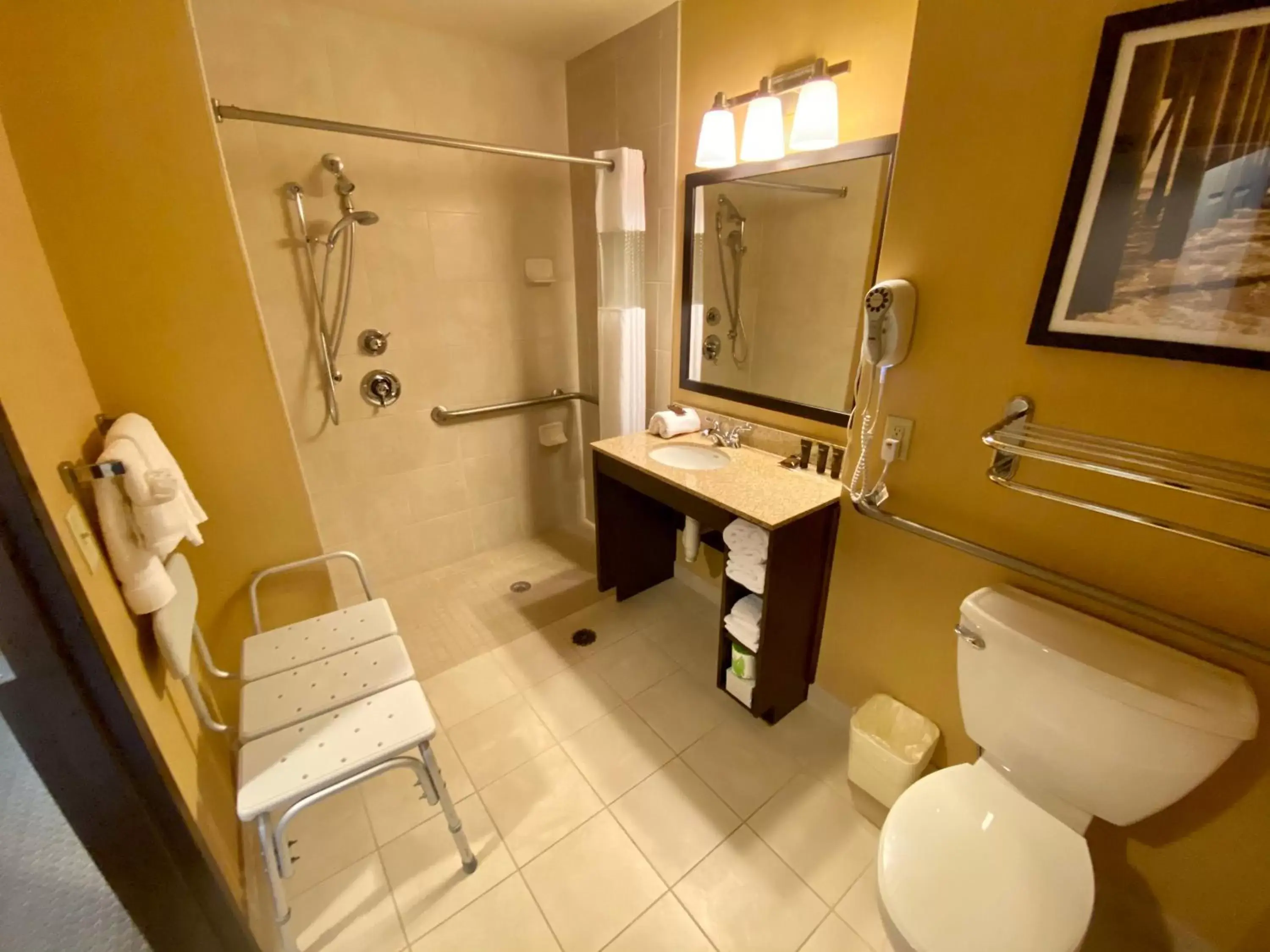 King Room with Roll-In Shower - Mobility/Hearing Accessible - Non-Smoking in Wingate By Wyndham Frisco King Room with Roll-In Shower - Mobility/Hearing Accessible - Non-Smoking in Wingate By Wyndham Frisco
