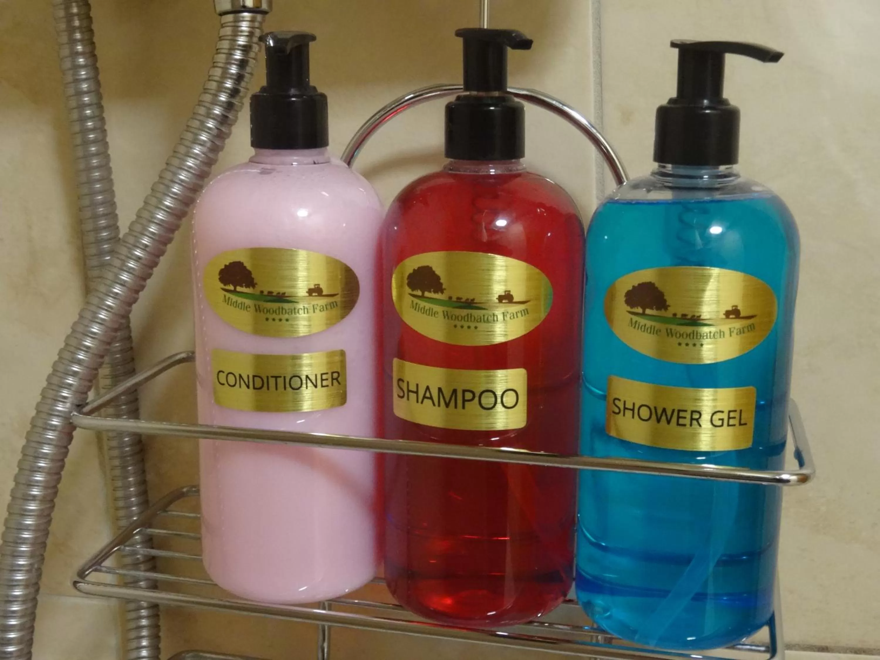 Shower in Middle Woodbatch B&B