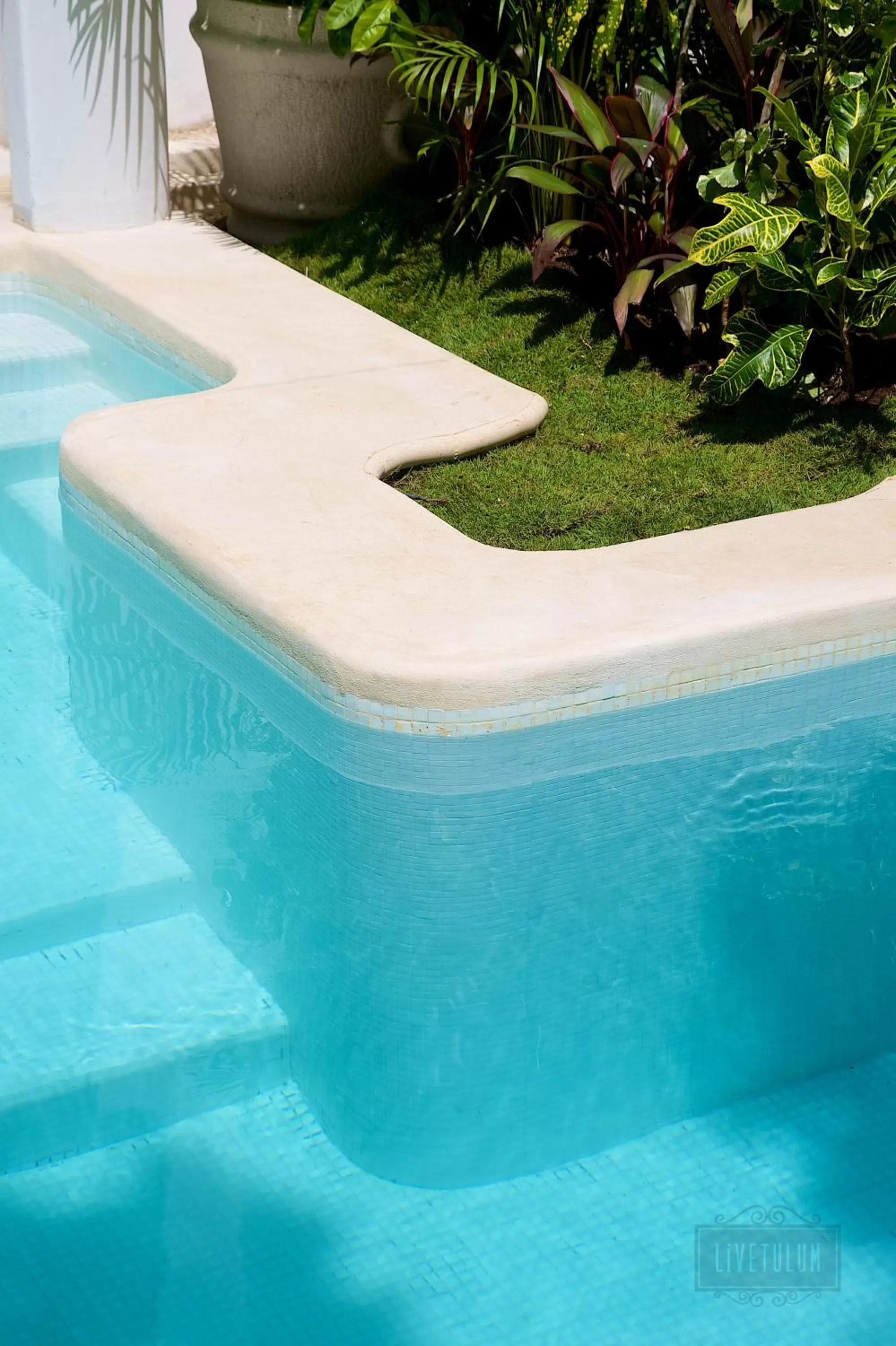 View (from property/room) in LiveTulum