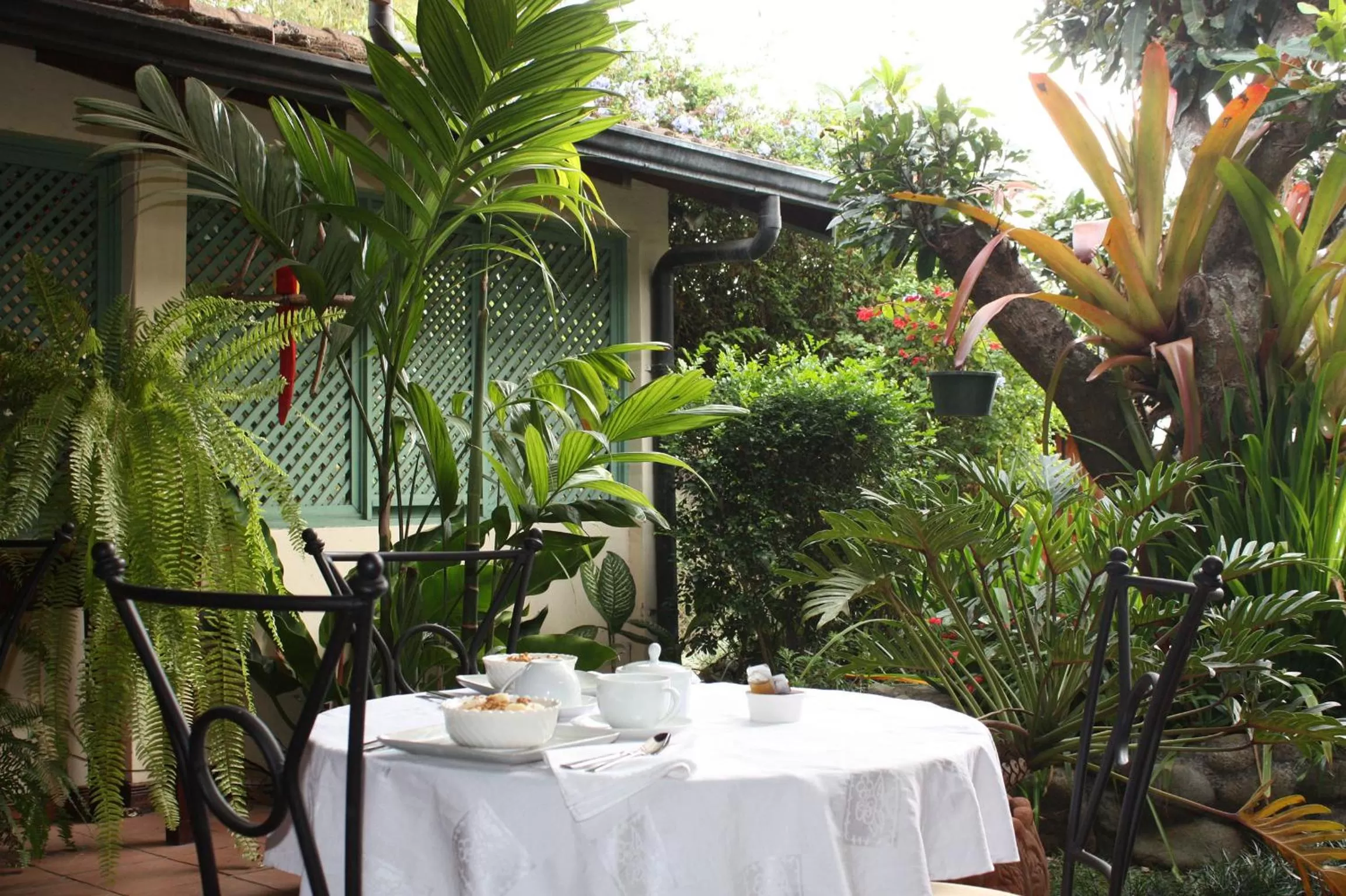 Breakfast in Tierra Magica B&B and Art Studio