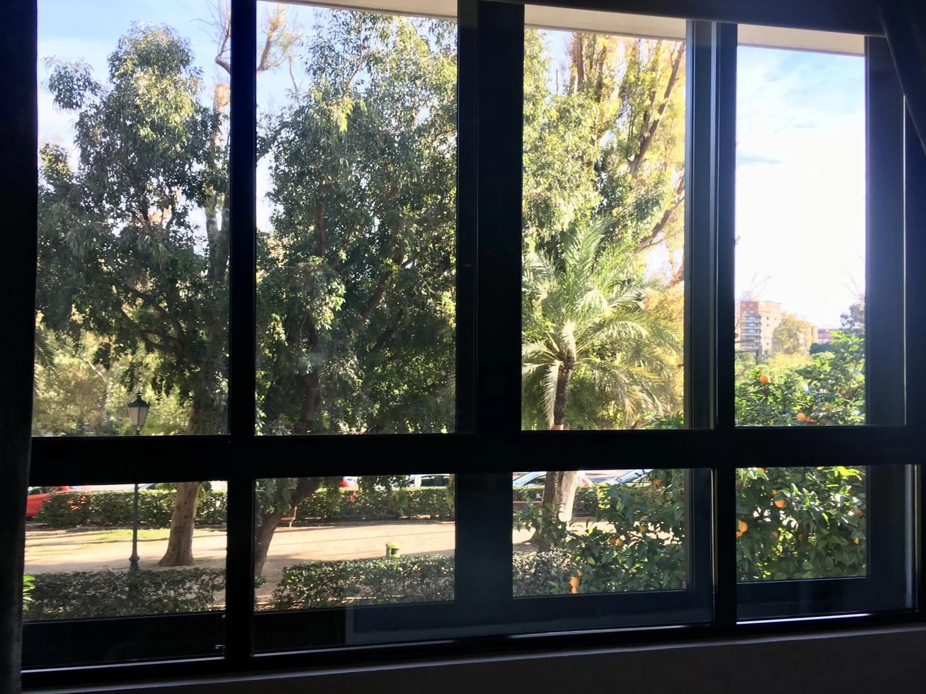 View (from property/room) in MD Modern Hotel - Jardines