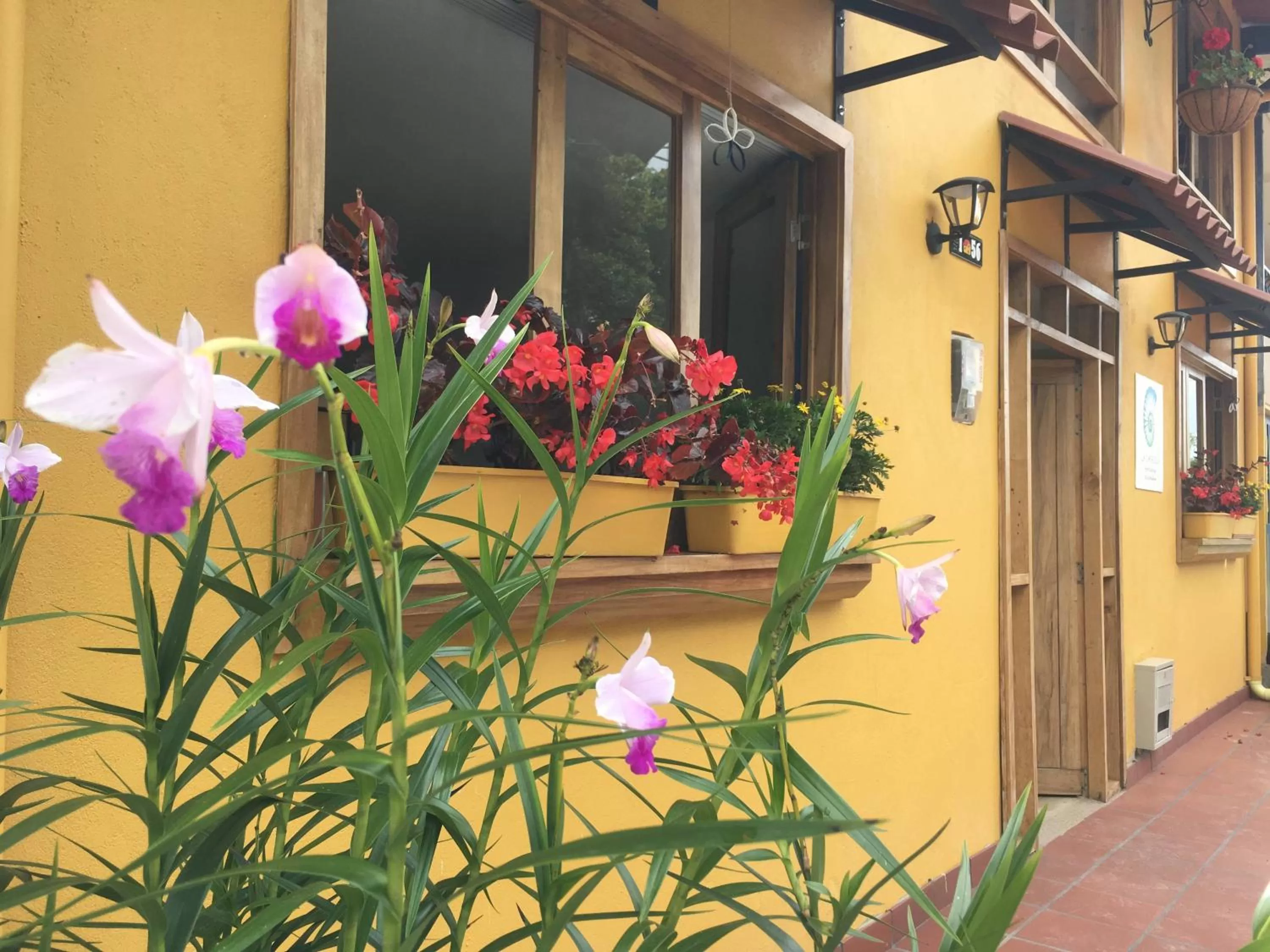 Facade/entrance in Hotel La Caracola