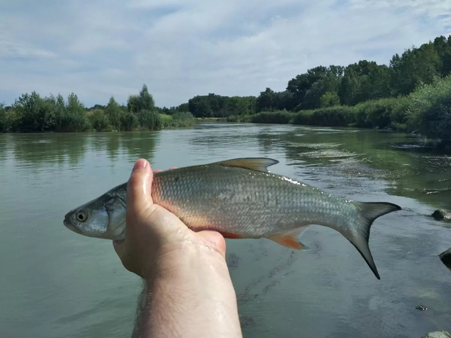 Fishing, Other Animals in Spa & Pool Apartment Hotel - Restaurant VILLA IVICA