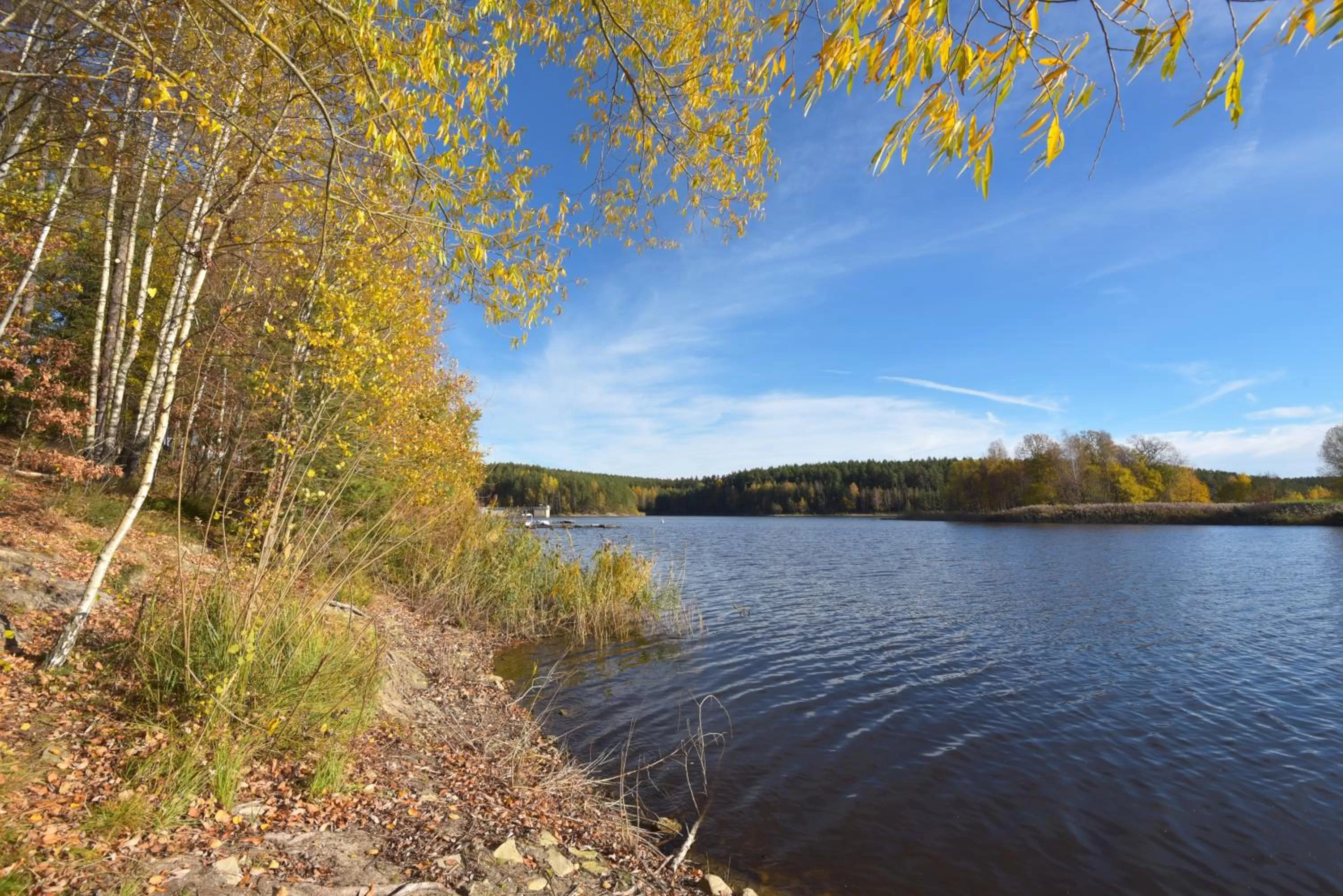 Natural landscape in Riverdam