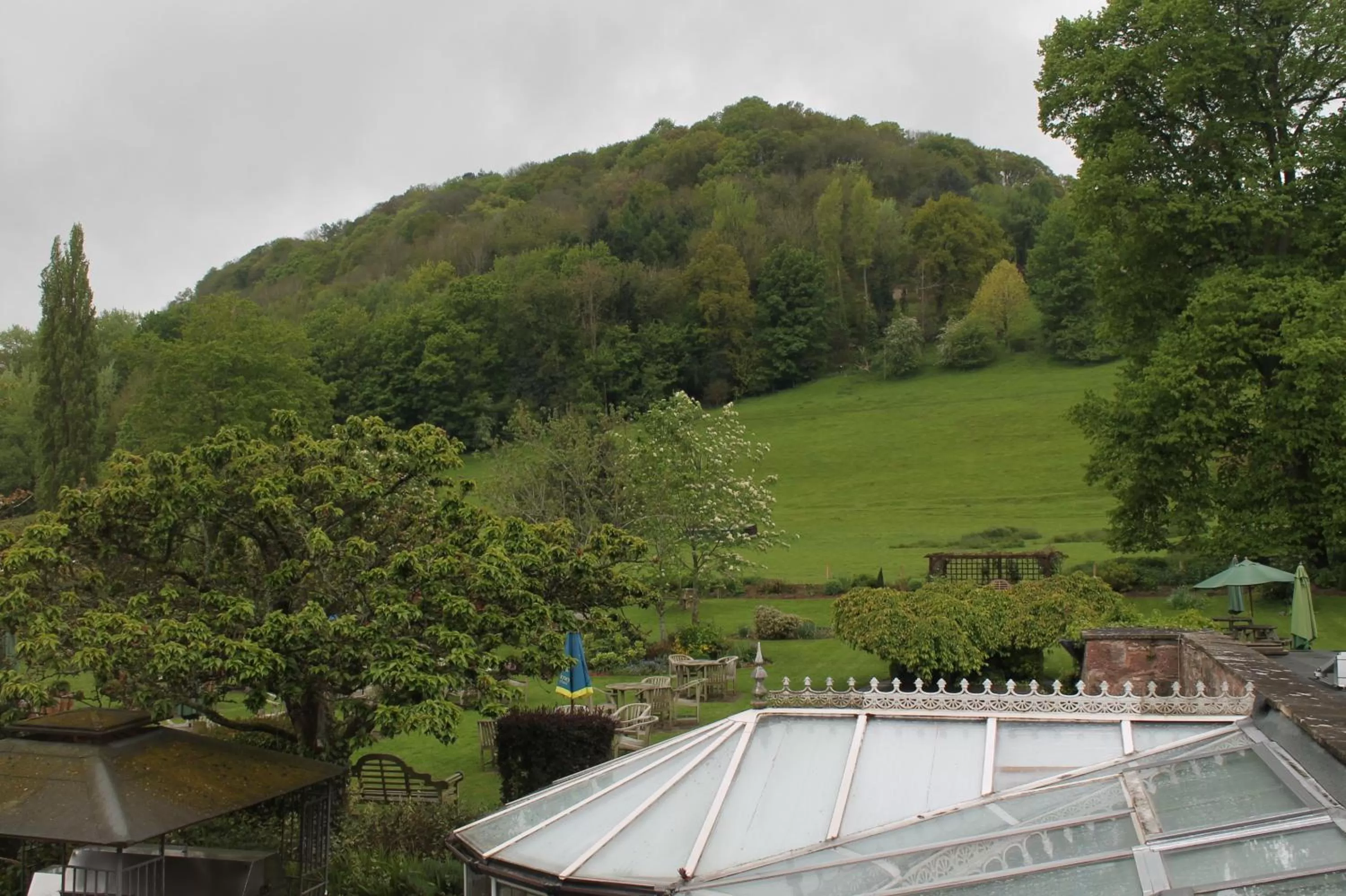 Garden in Old Court Hotel & Apartments