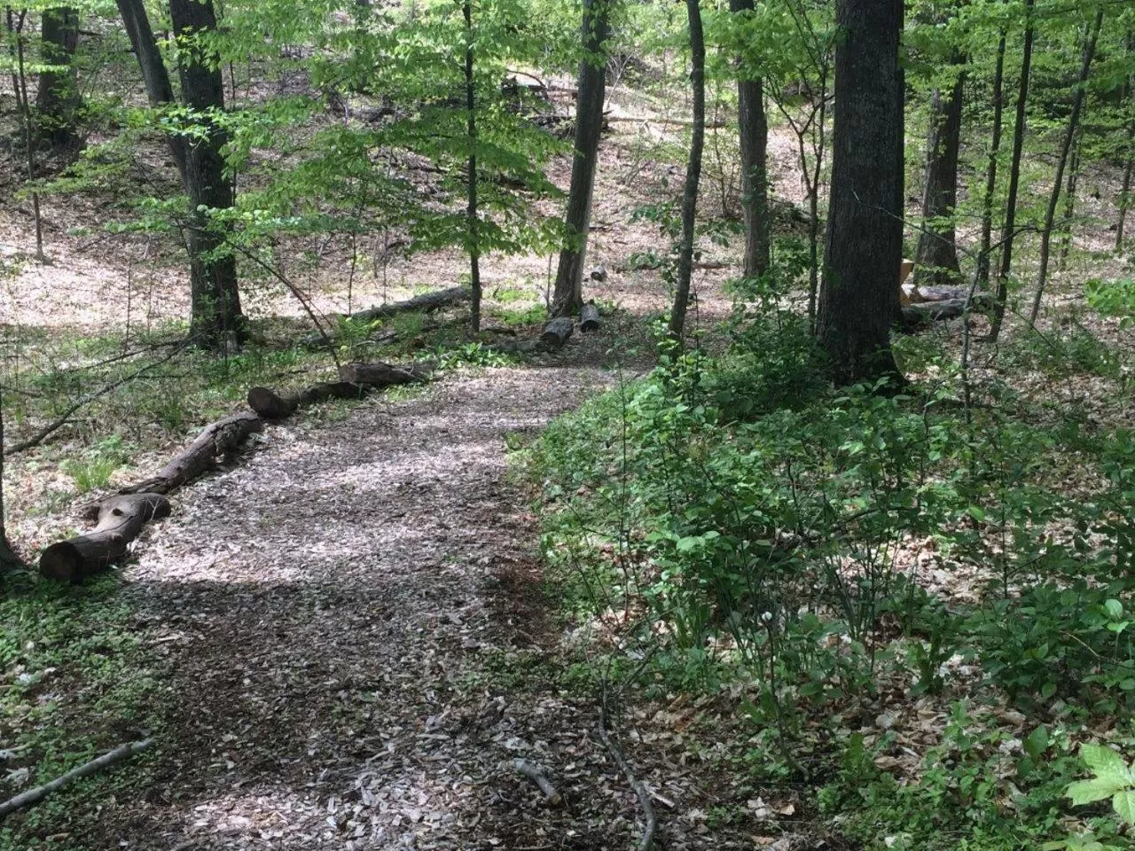 Hiking in The Landing Resort