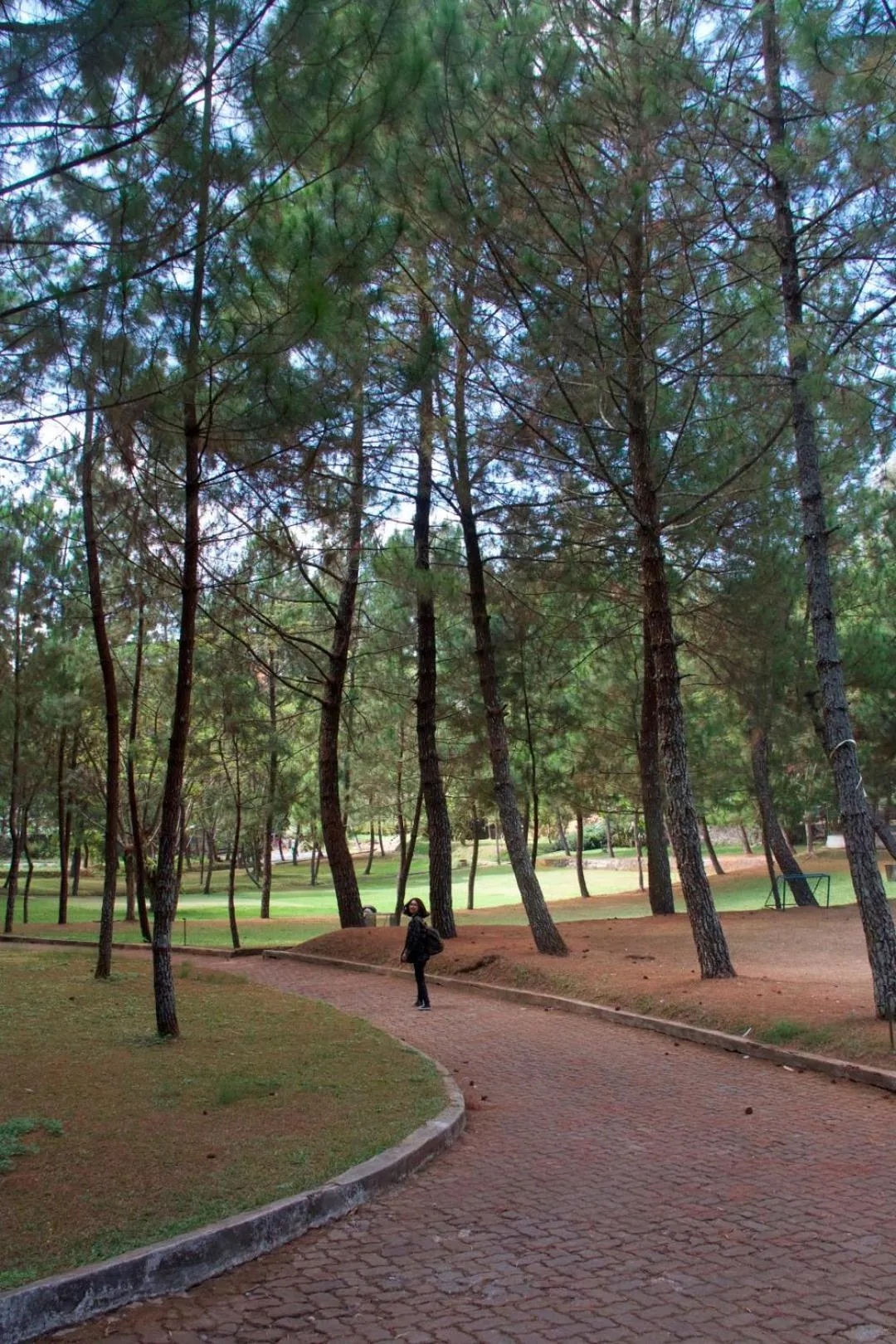 Natural landscape in Puteri Gunung Hotel
