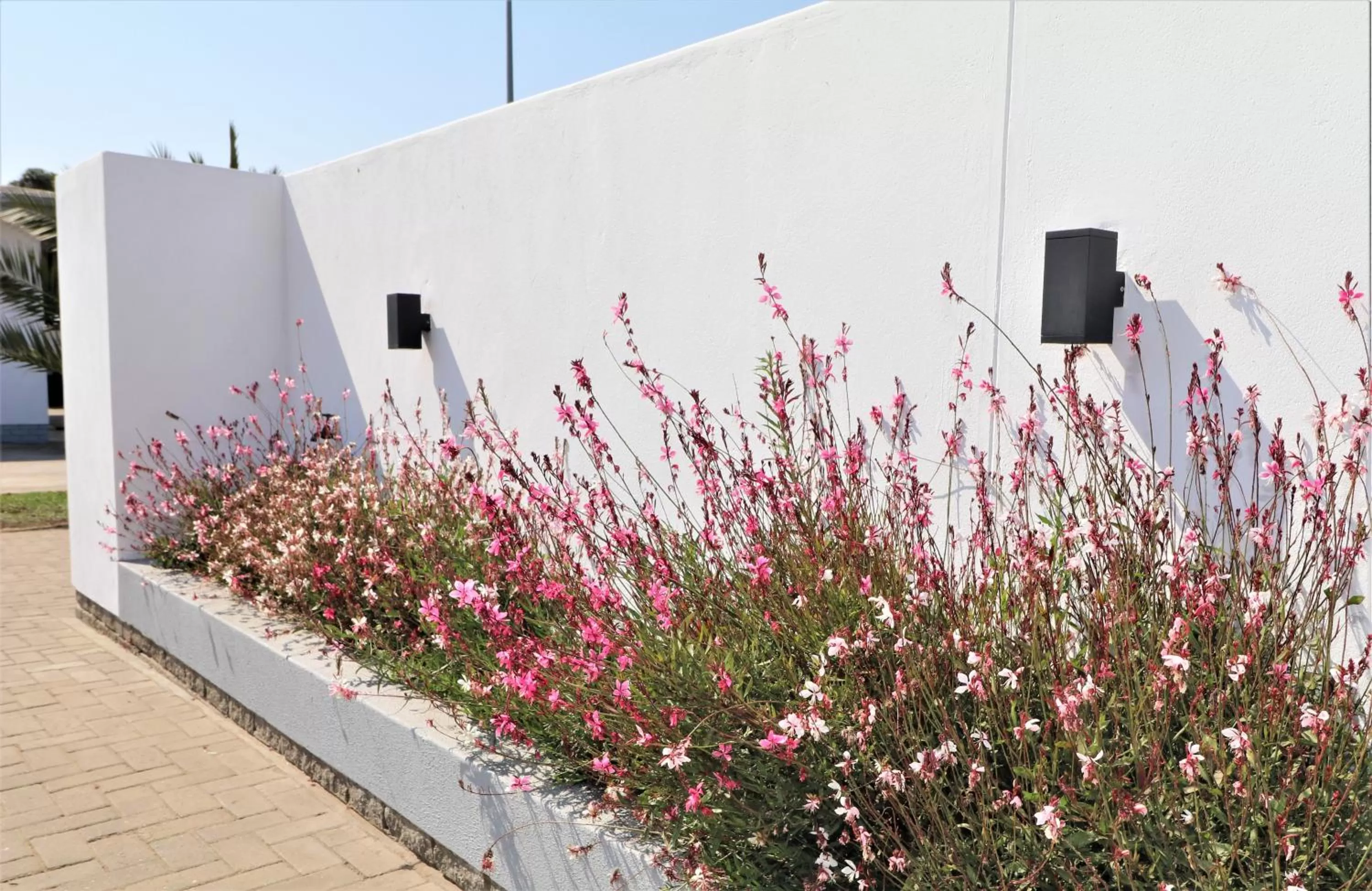 Facade/entrance in Tiende Laan Bed & Breakfast and Self-Catering