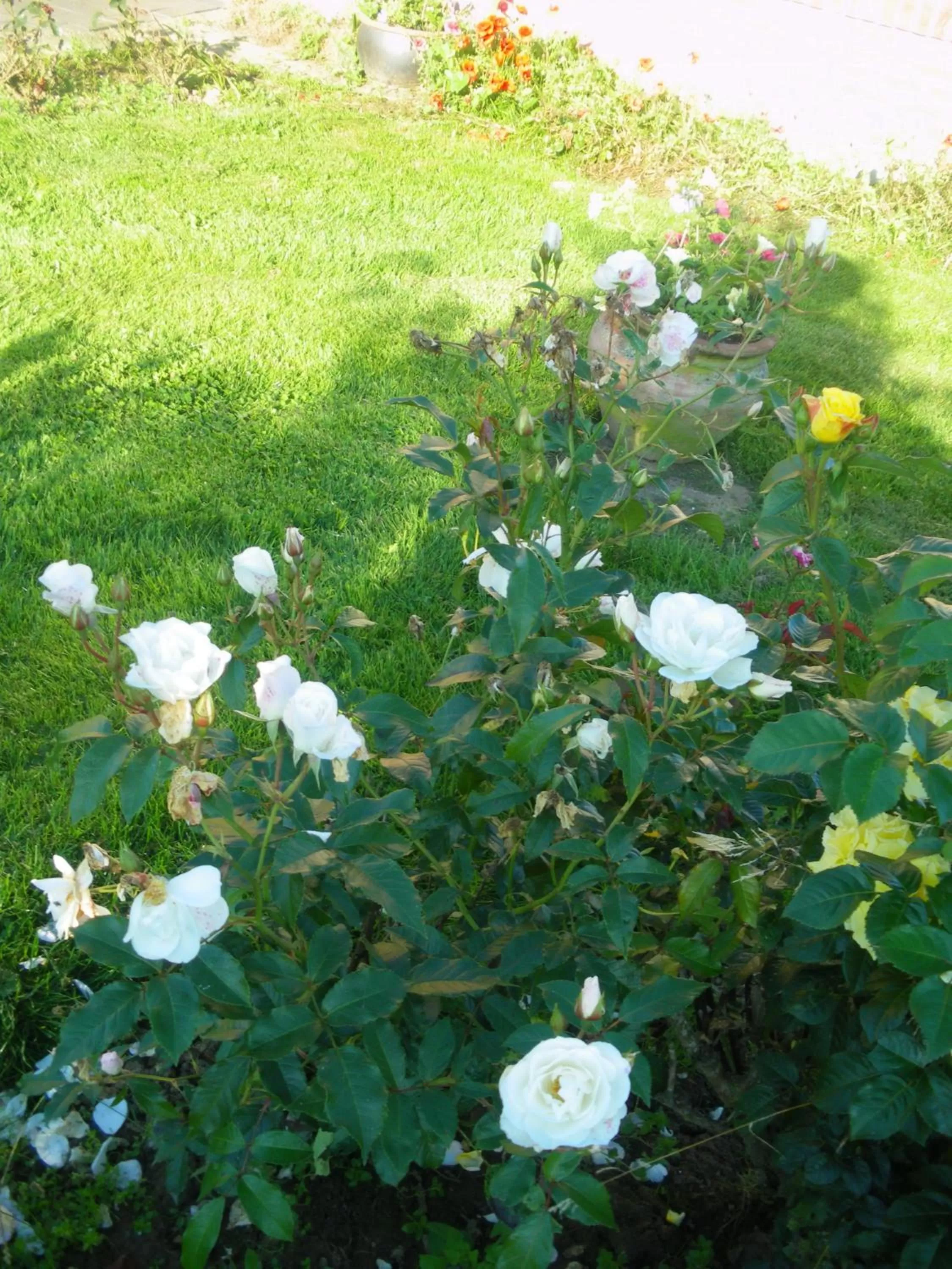 Garden in La Vallée des Trois Monts