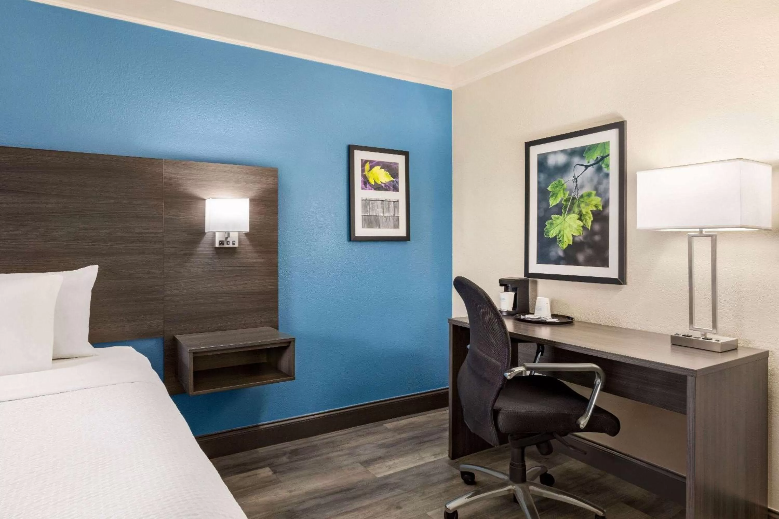 Photo of the whole room, Bed in La Quinta Inn by Wyndham San Antonio I-35 N at Toepperwein