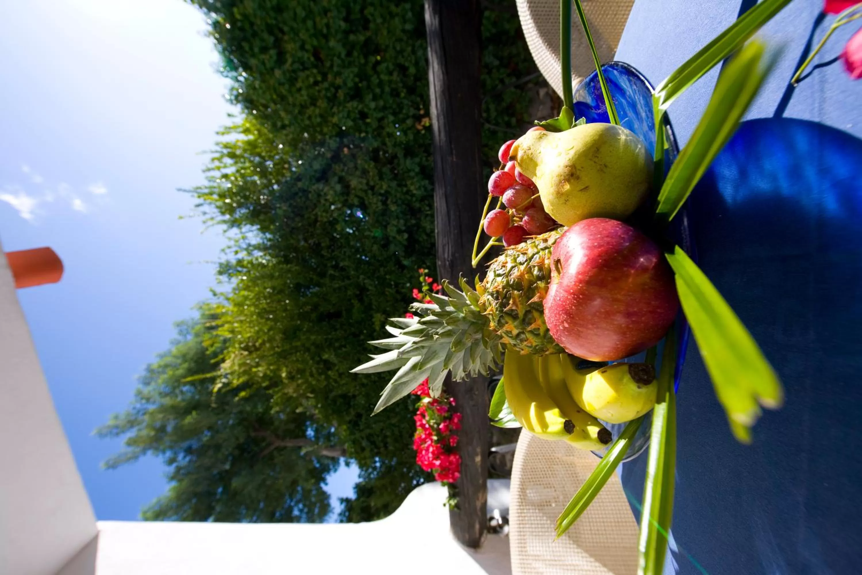 View (from property/room) in Central Park Terme