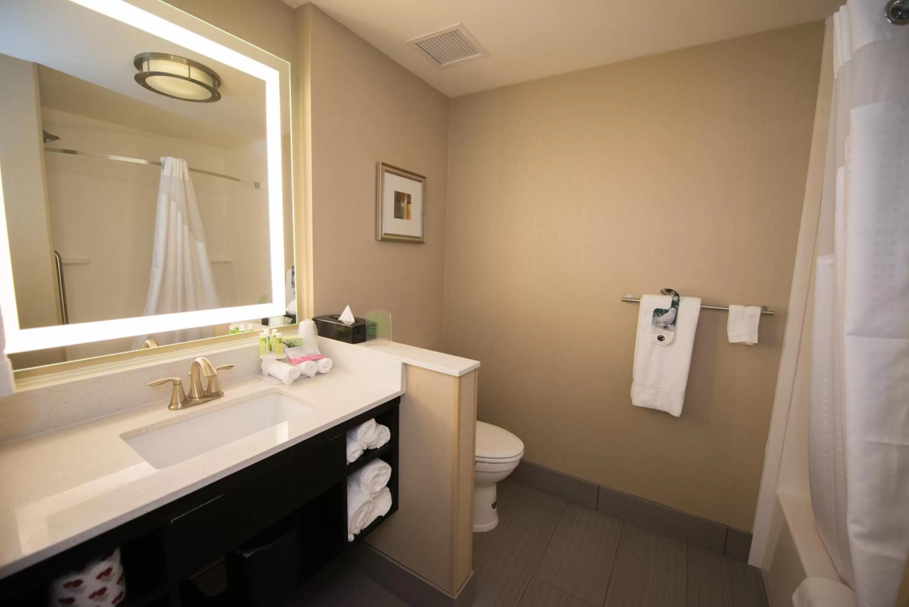 Bathroom in Holiday Inn Express & Suites Denver South - Castle Rock by IHG