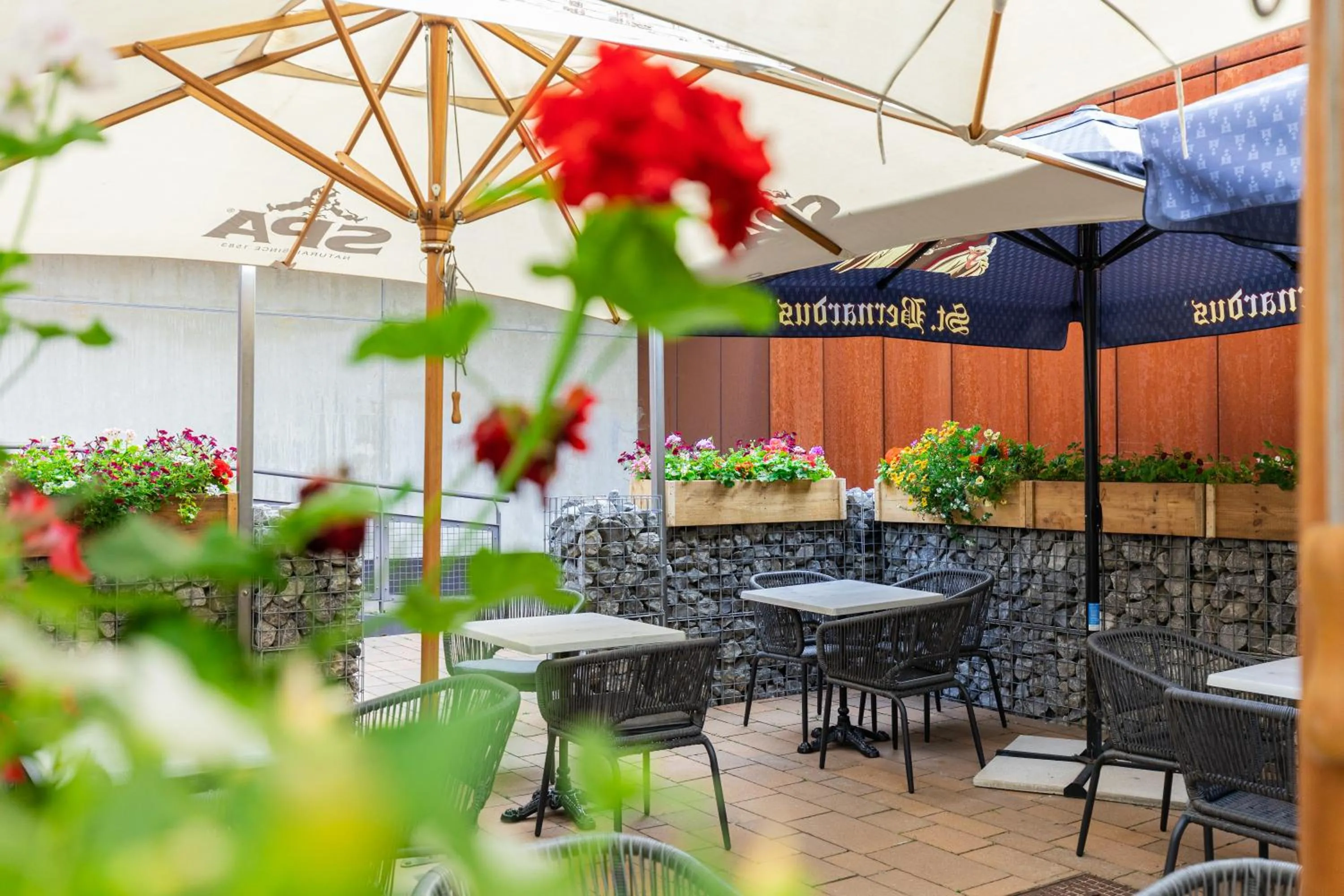 Balcony/Terrace in Hotel Ambiotel