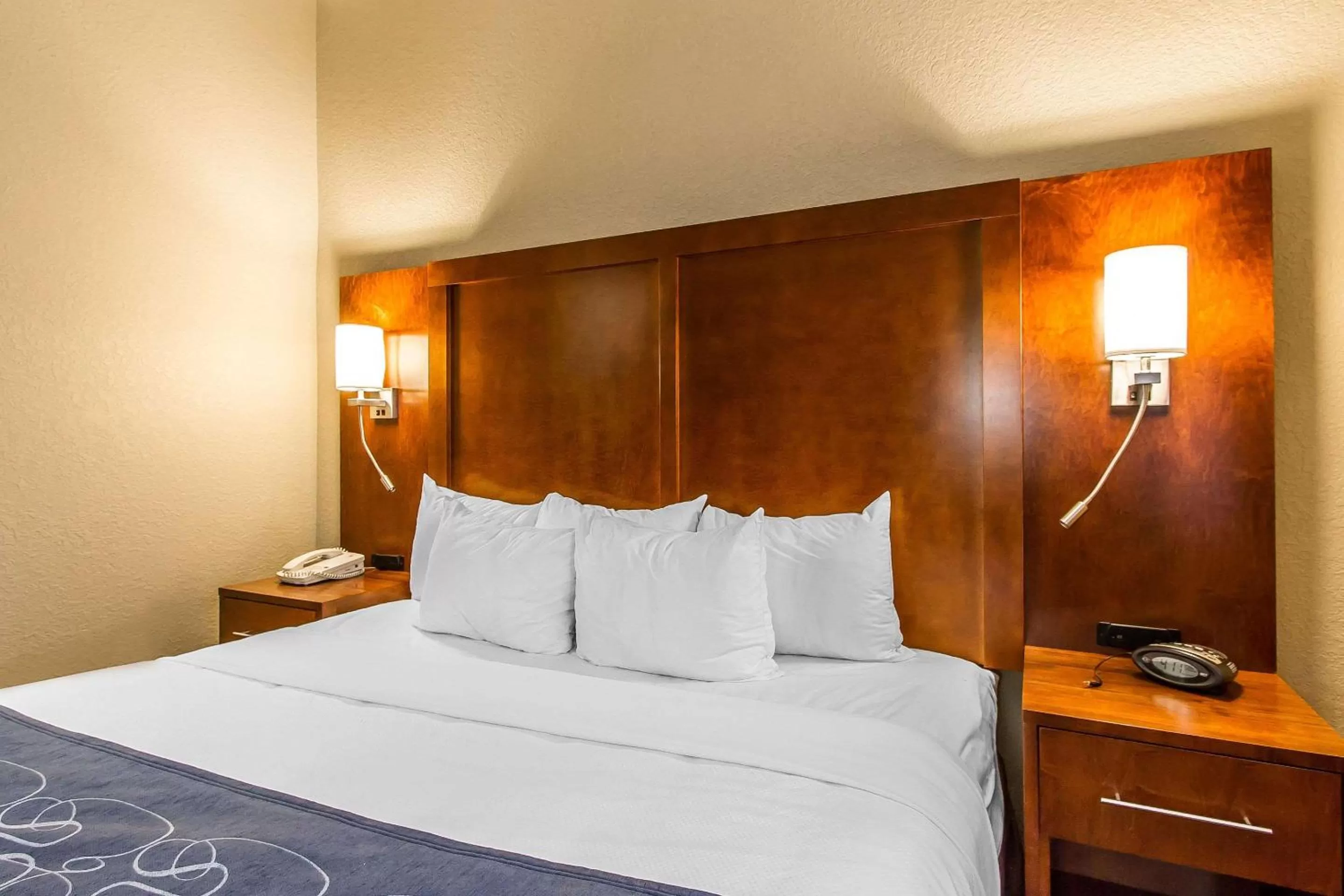 Photo of the whole room, Bed in Comfort Suites Mattoon East