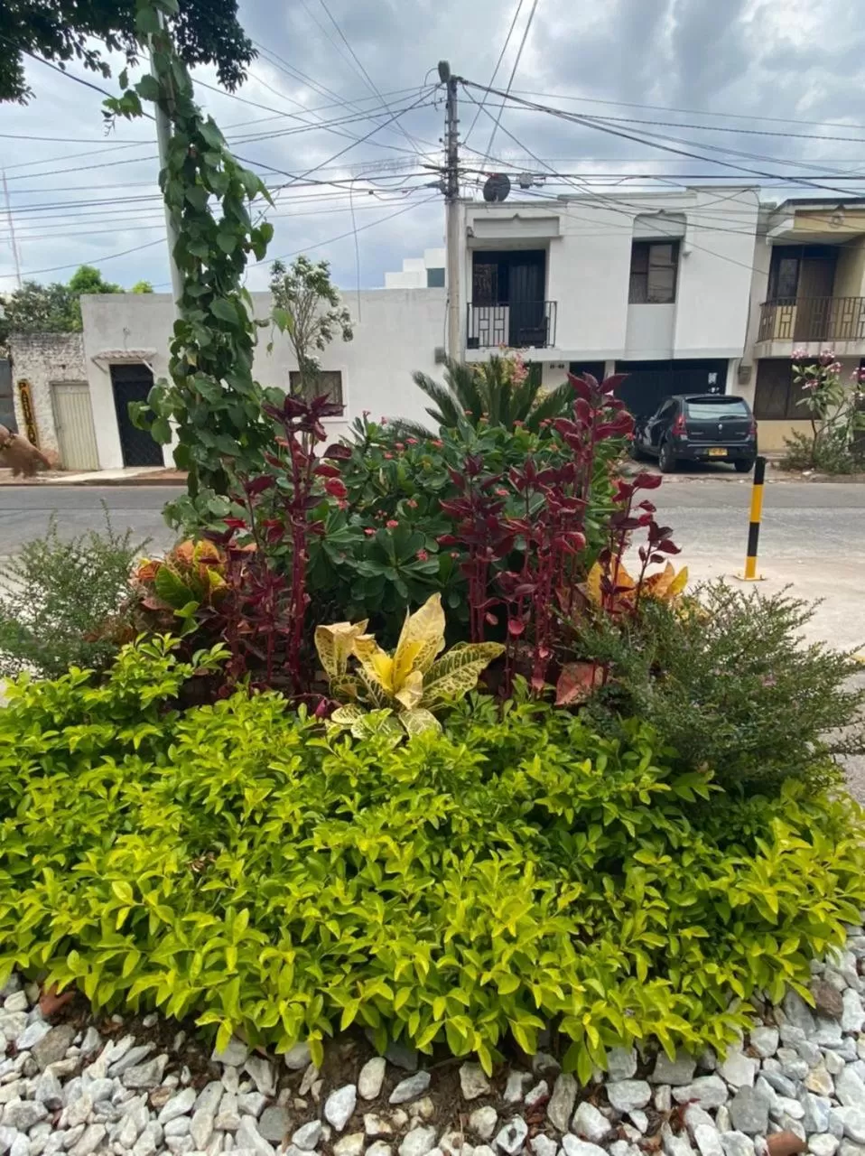 Facade/entrance in HOTEL BOUTIQUE SONNE BALOP Valledupar
