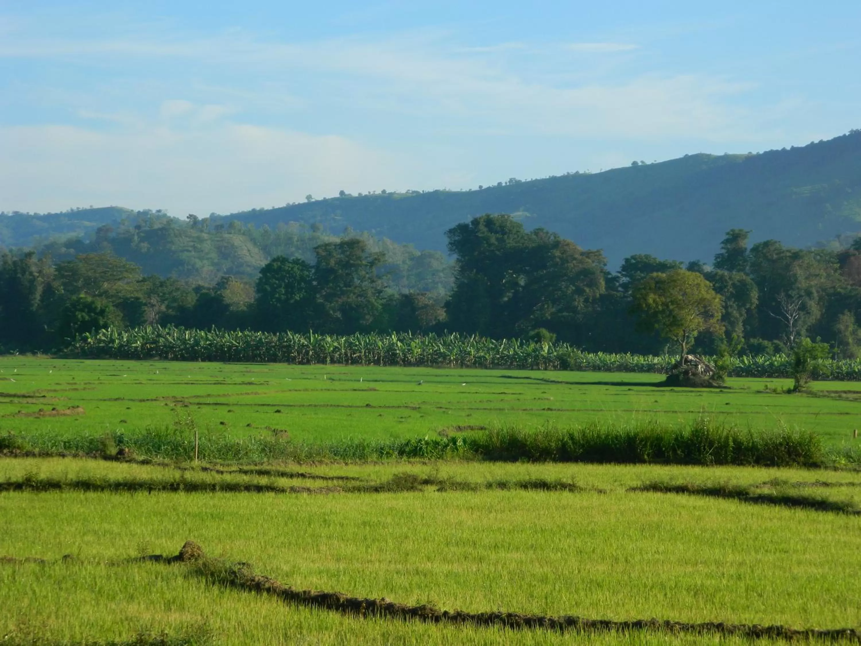 Natural Landscape in New Ocean Vibes