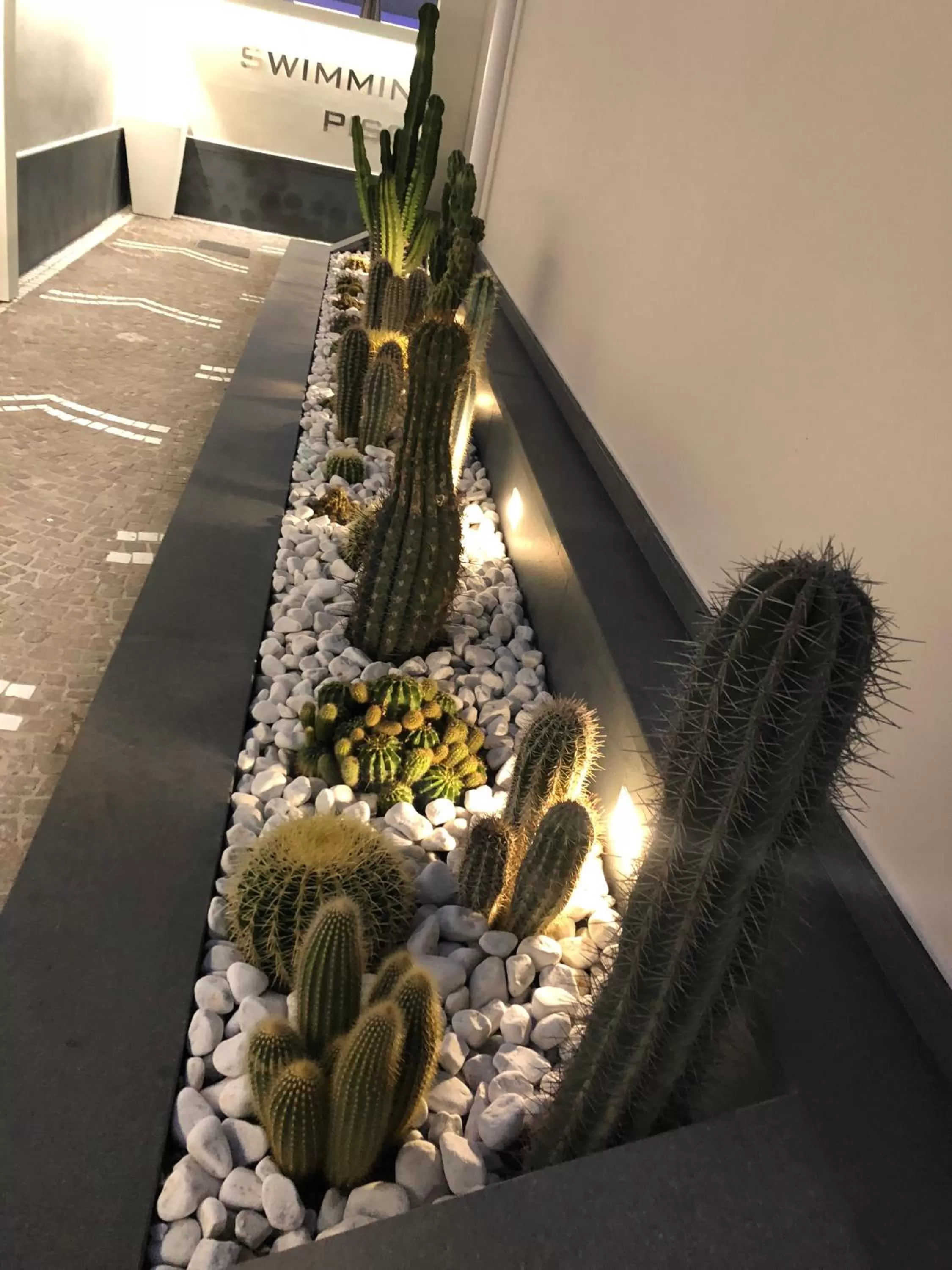 Pool view in Hotel Smeraldo