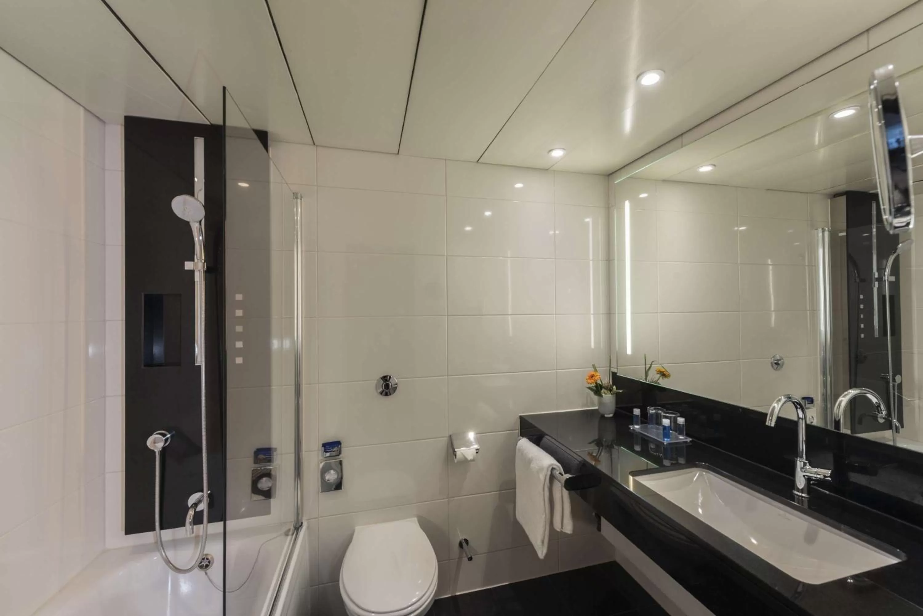 Bathroom in Maritim Hotel Königswinter