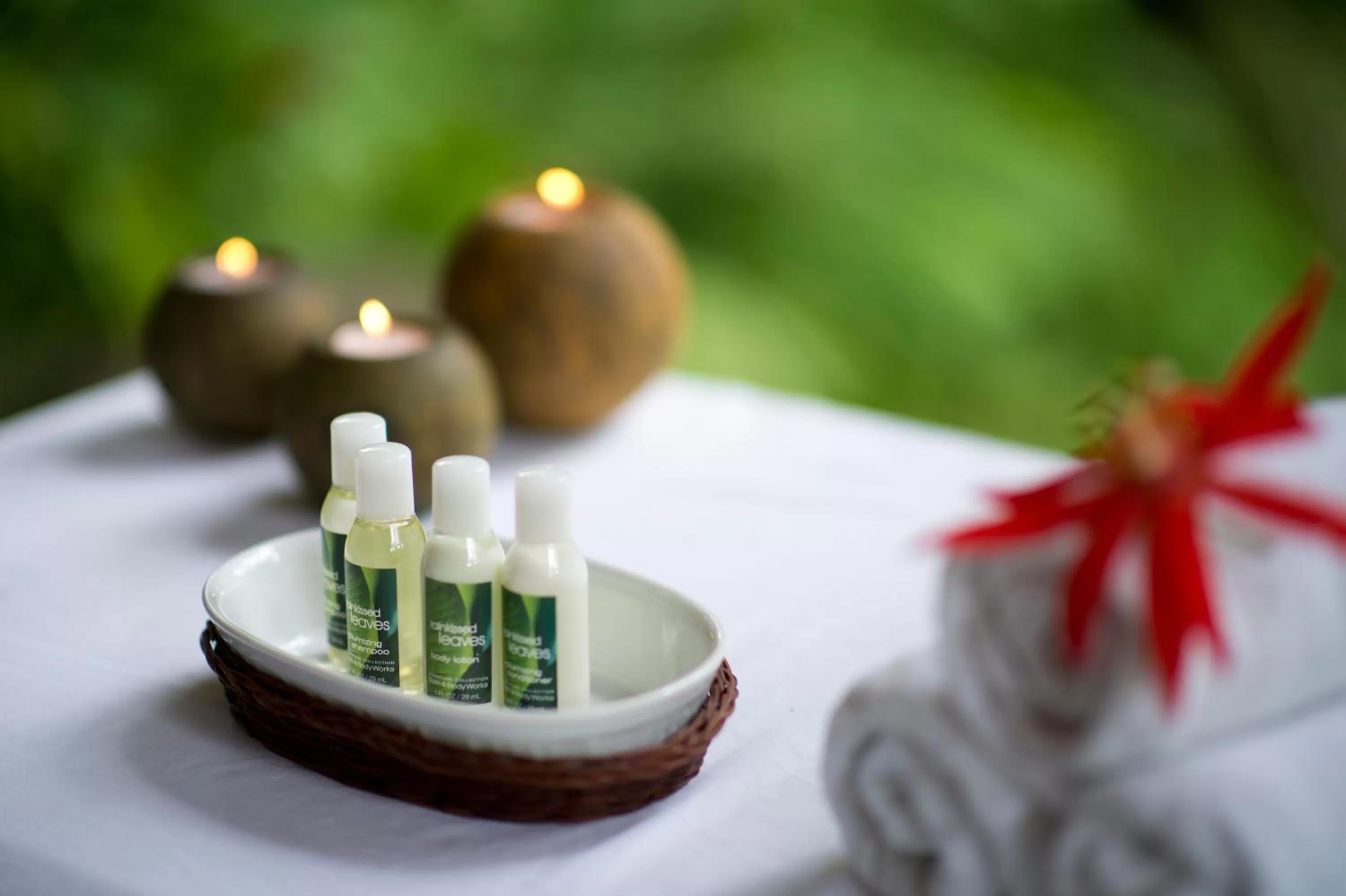 Spa and wellness centre/facilities in Pumilio Mountain & Ocean Hotel