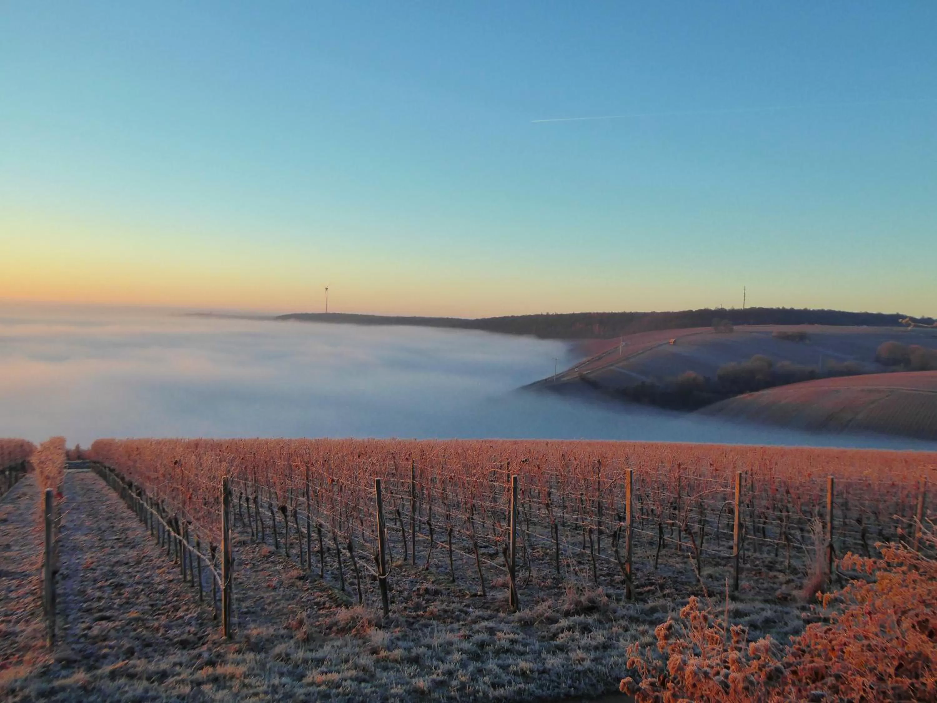Natural landscape in Hotel am Torturm