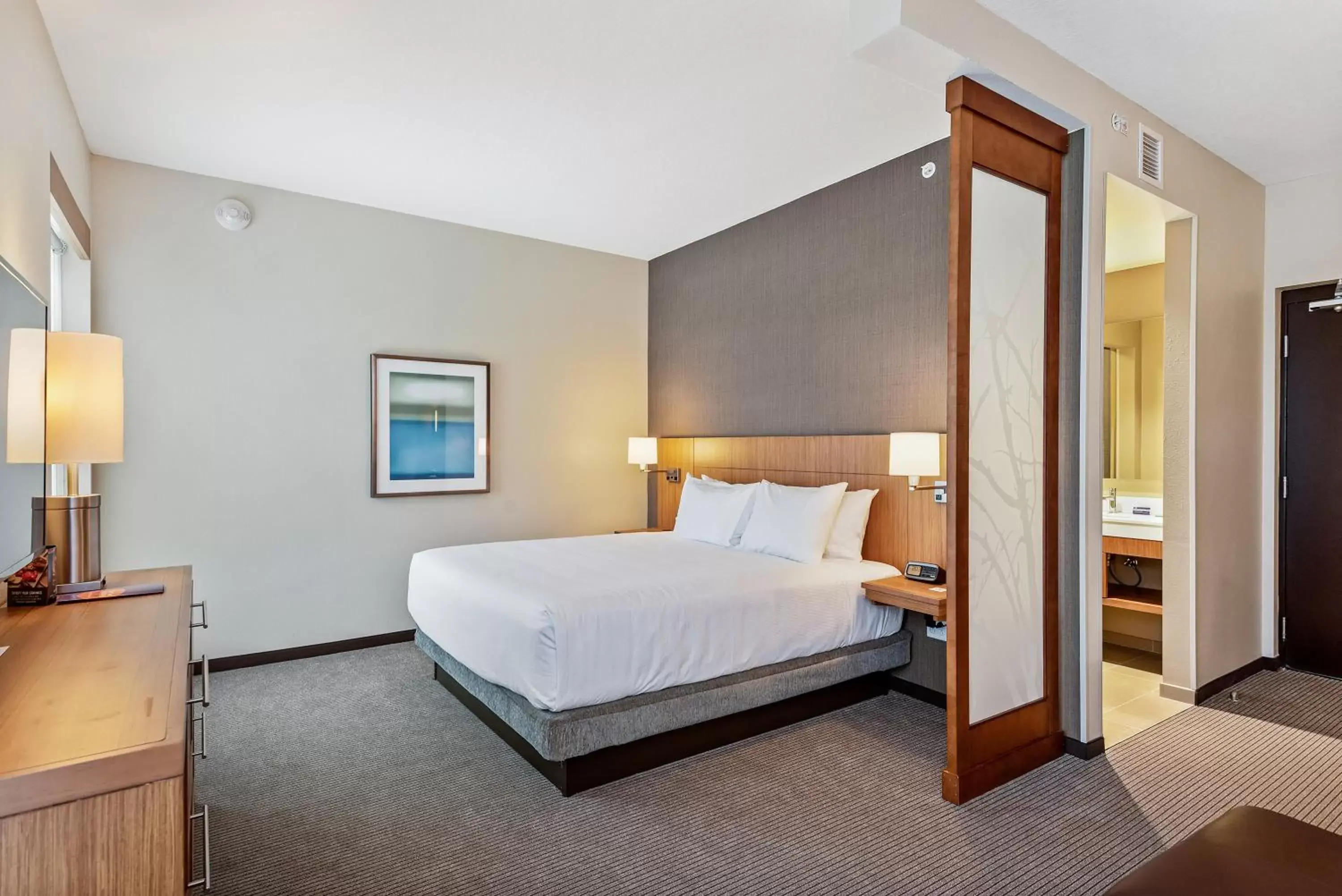 King Room with Sofa Bed - High Floor in Hyatt Place Tampa/Wesley Chapel King Room with Sofa Bed - High Floor in Hyatt Place Tampa/Wesley Chapel