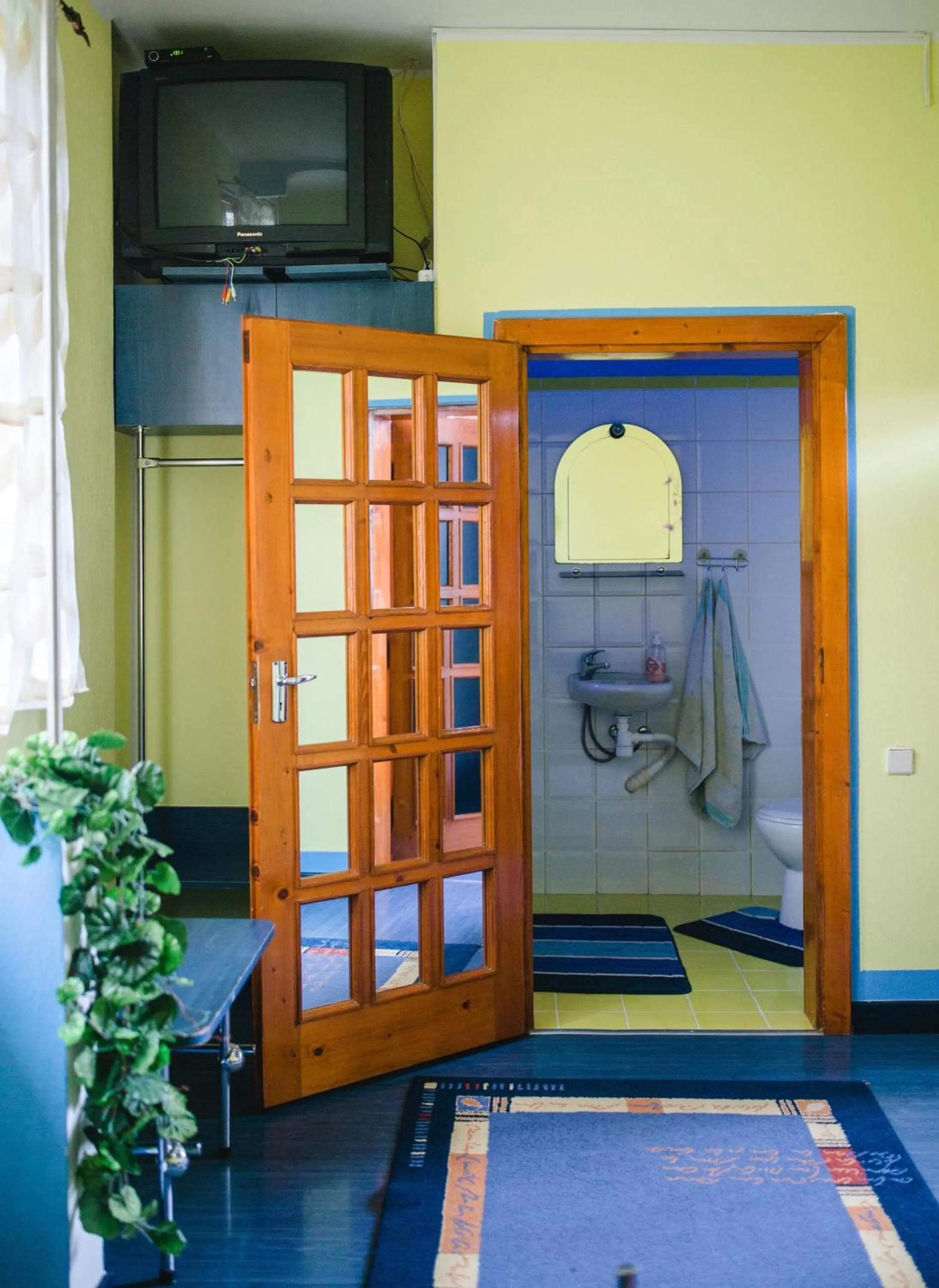 TV and multimedia, TV/Entertainment Center in Kolyba Opryshkiv