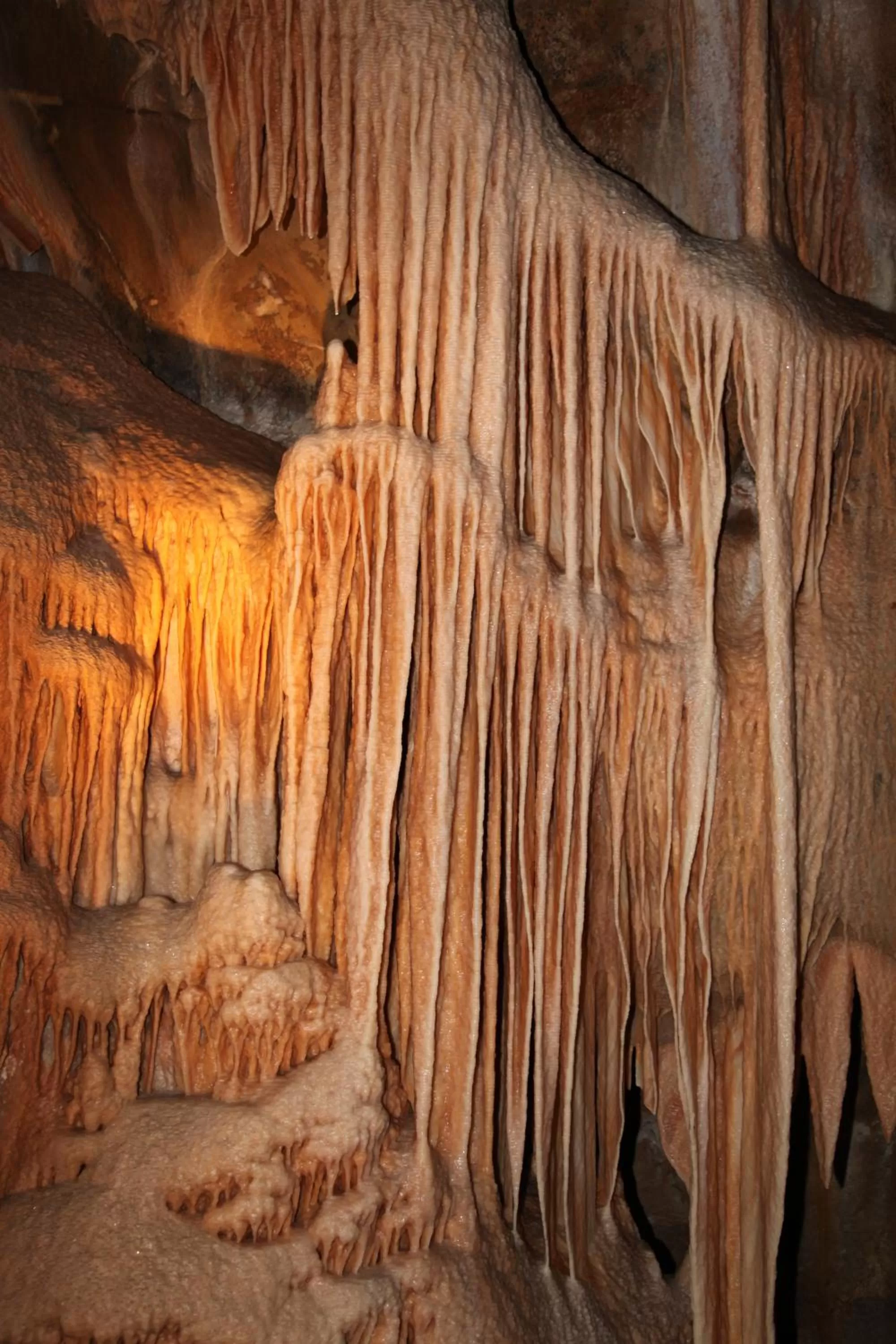 Nearby landmark in Titania Motel