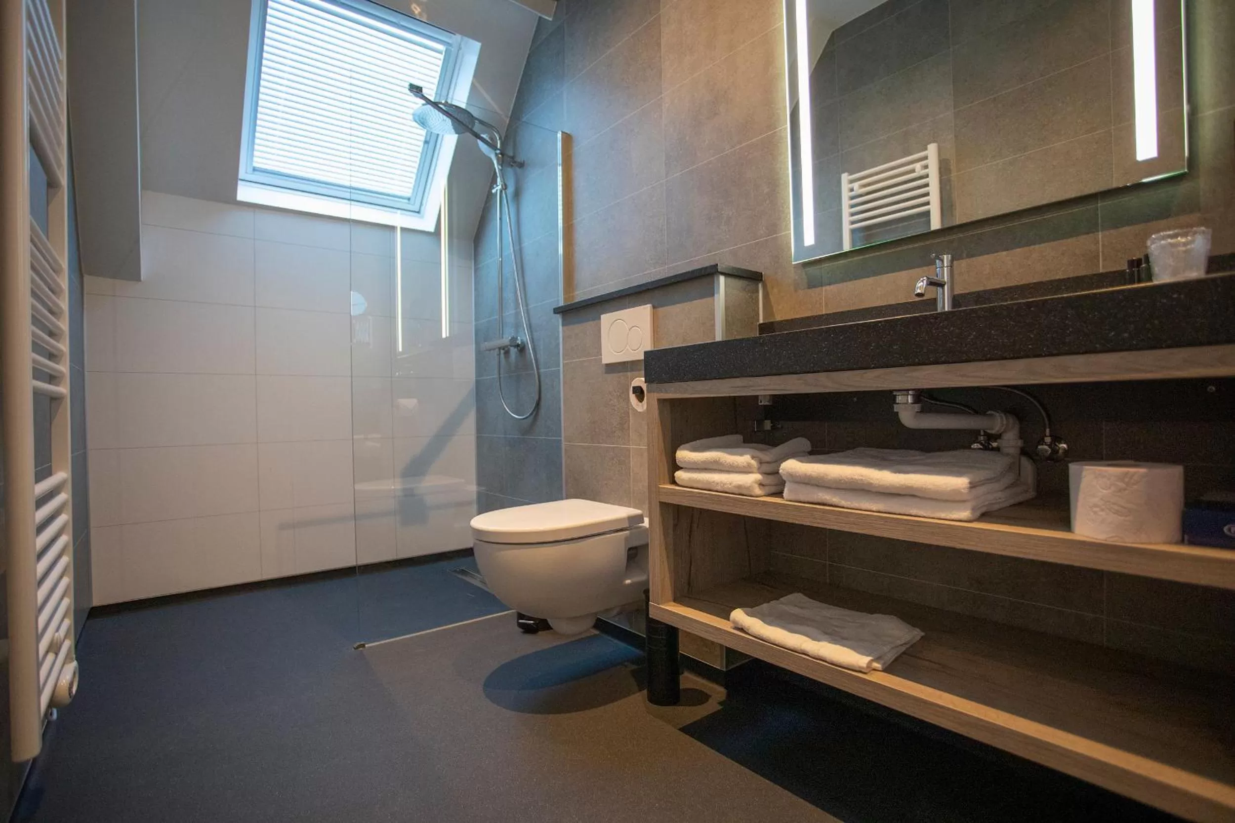 Bathroom in Hotel Tholen