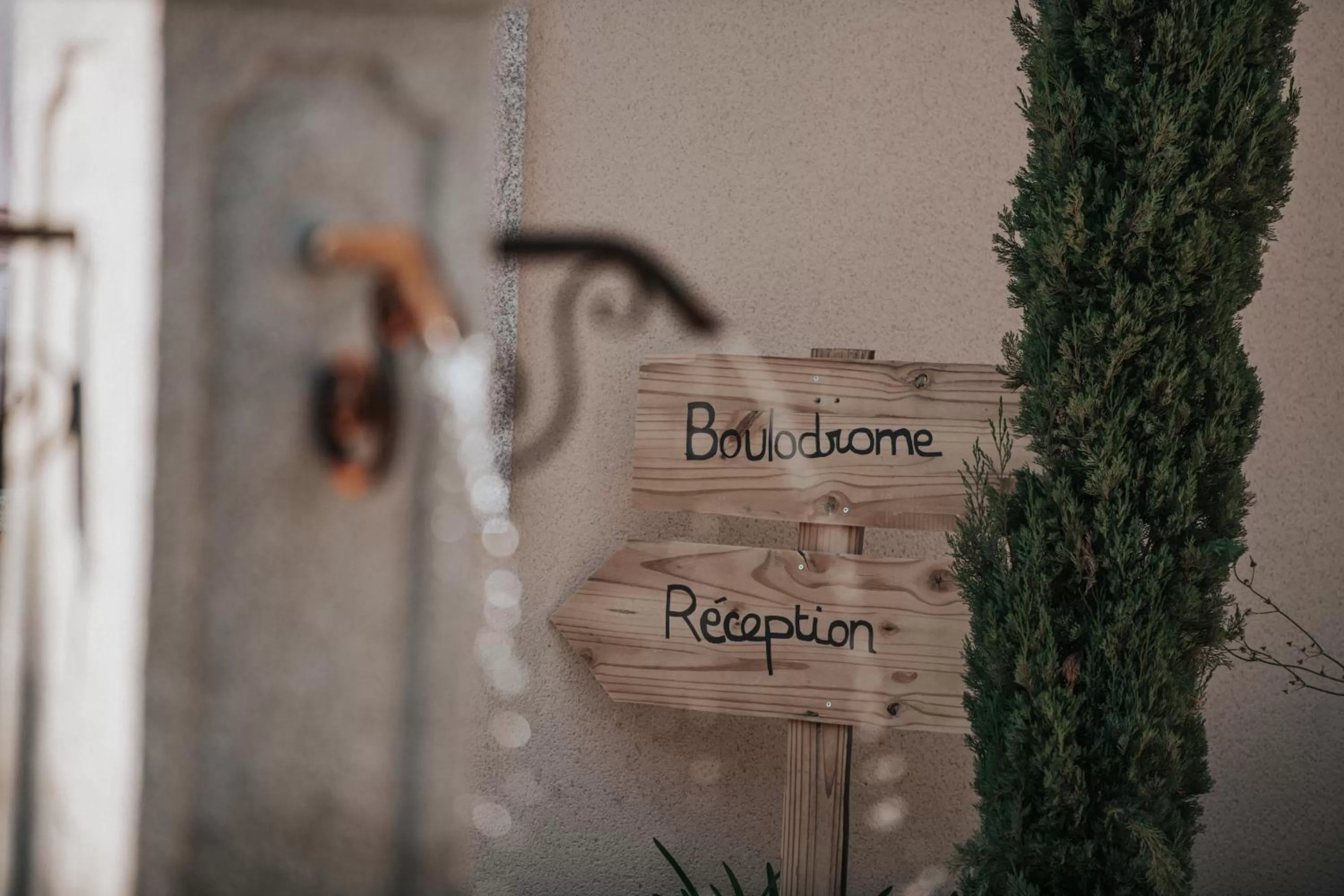 Entertainment in Mercure Avignon TGV Hotel & Spa