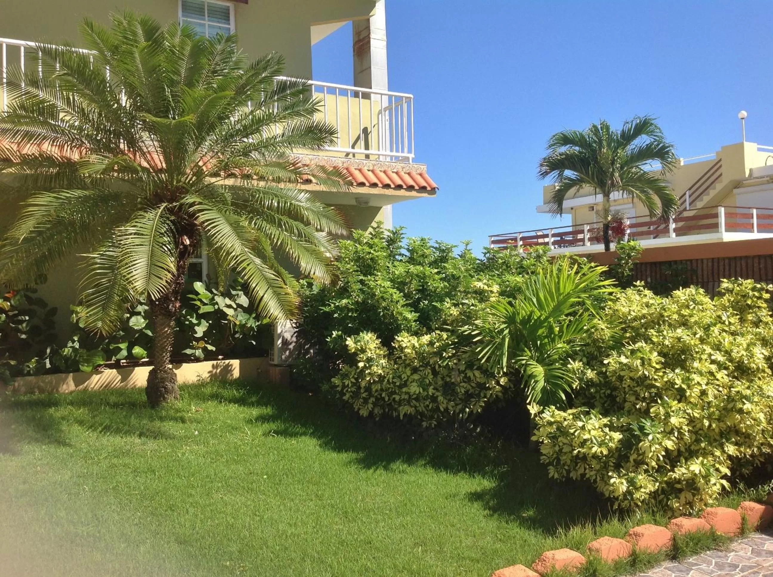 Garden in Selva Boutique Hotel - Luquillo Oceanfront Retreat - Adults Only