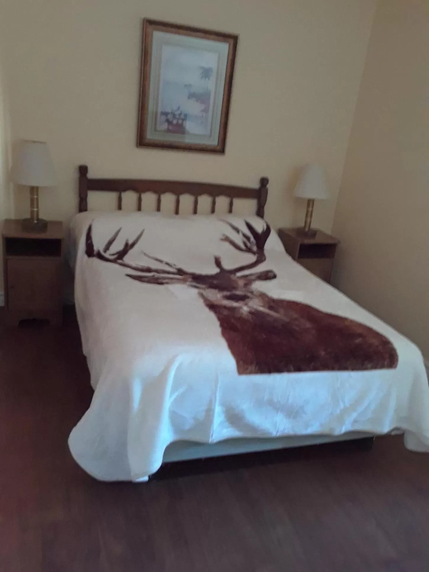 Bed in Mountain View Motel