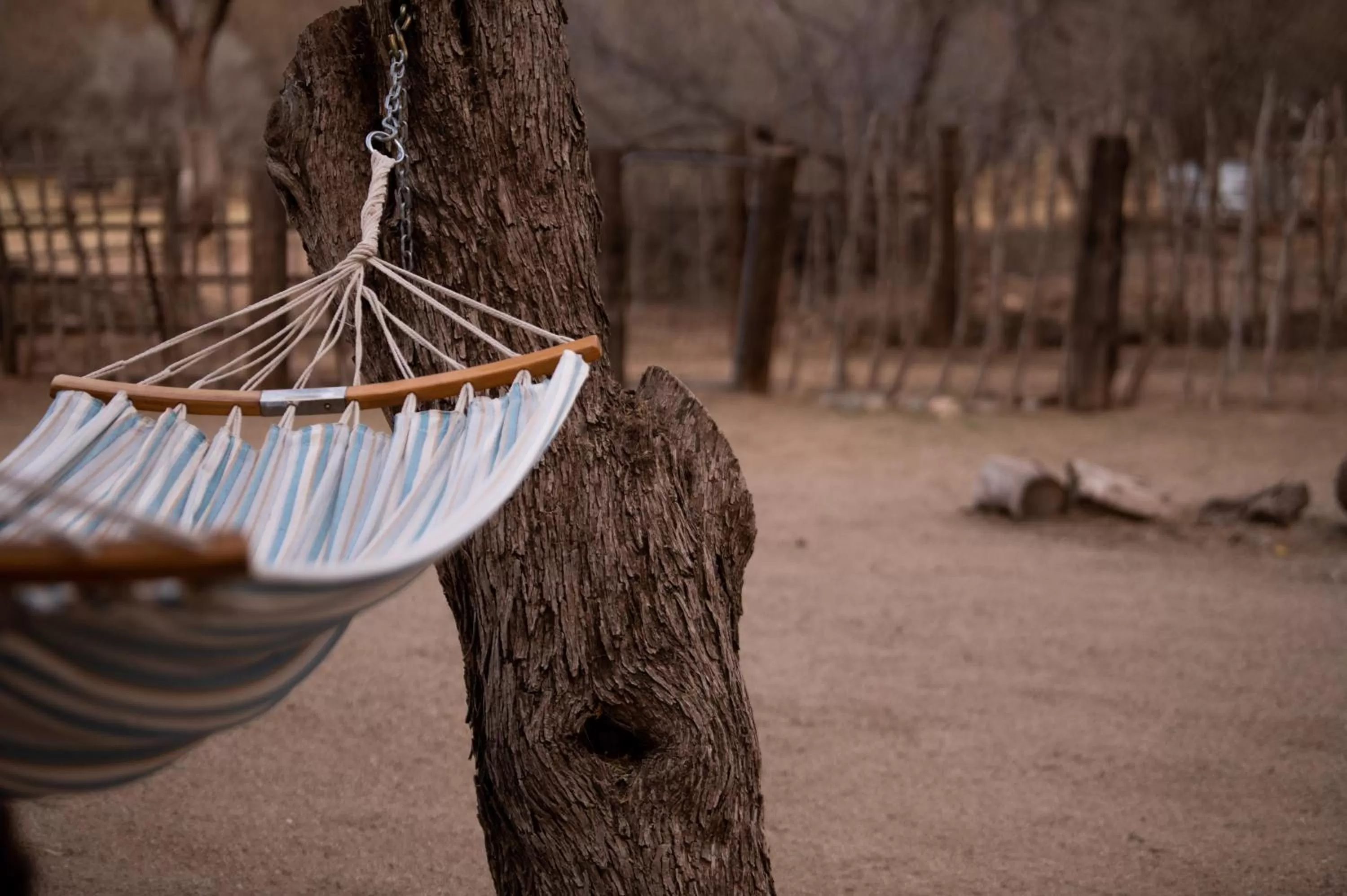Area and facilities in Kay El Bar Guest Ranch