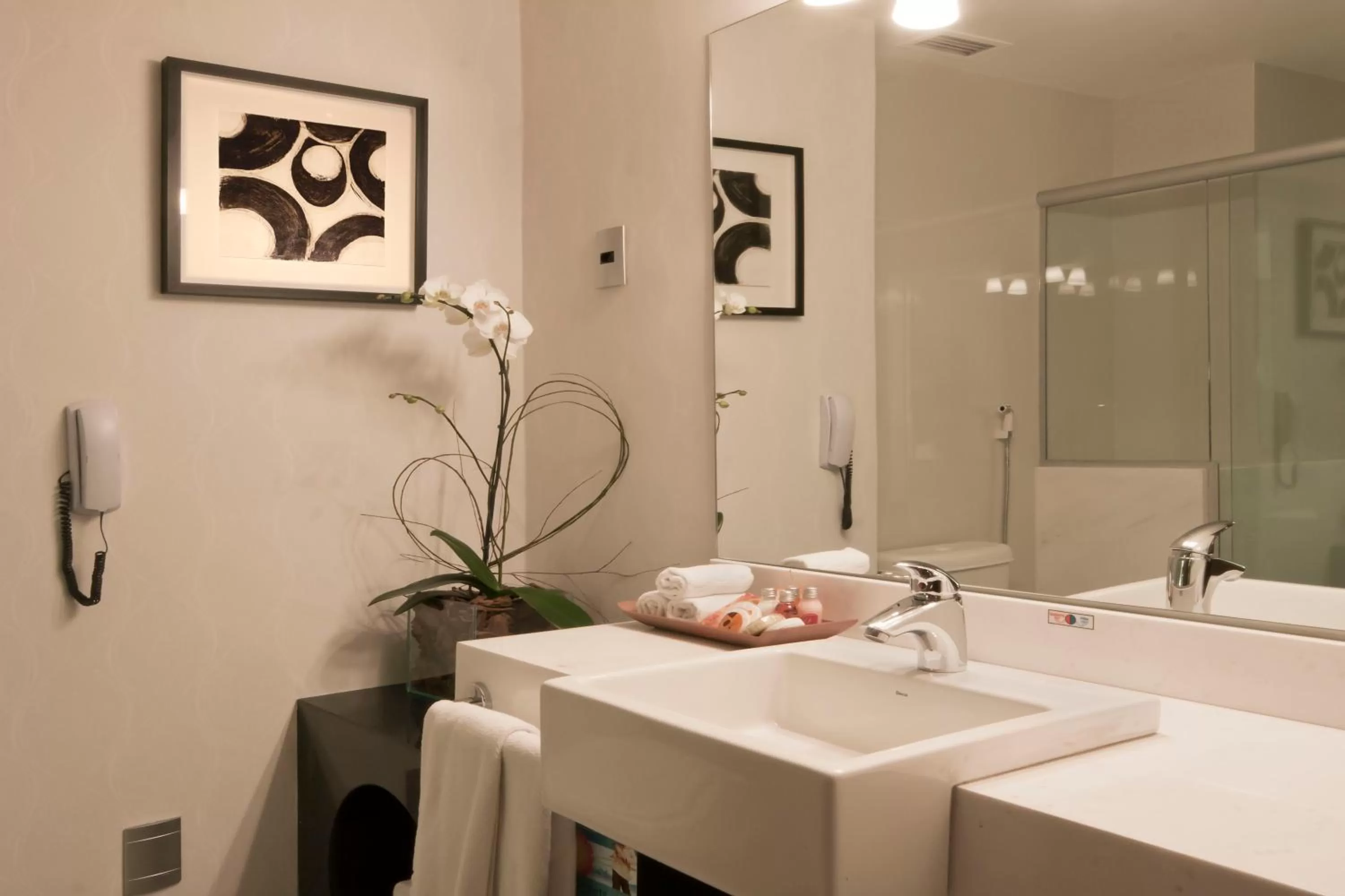 Bathroom in Radisson Alphaville