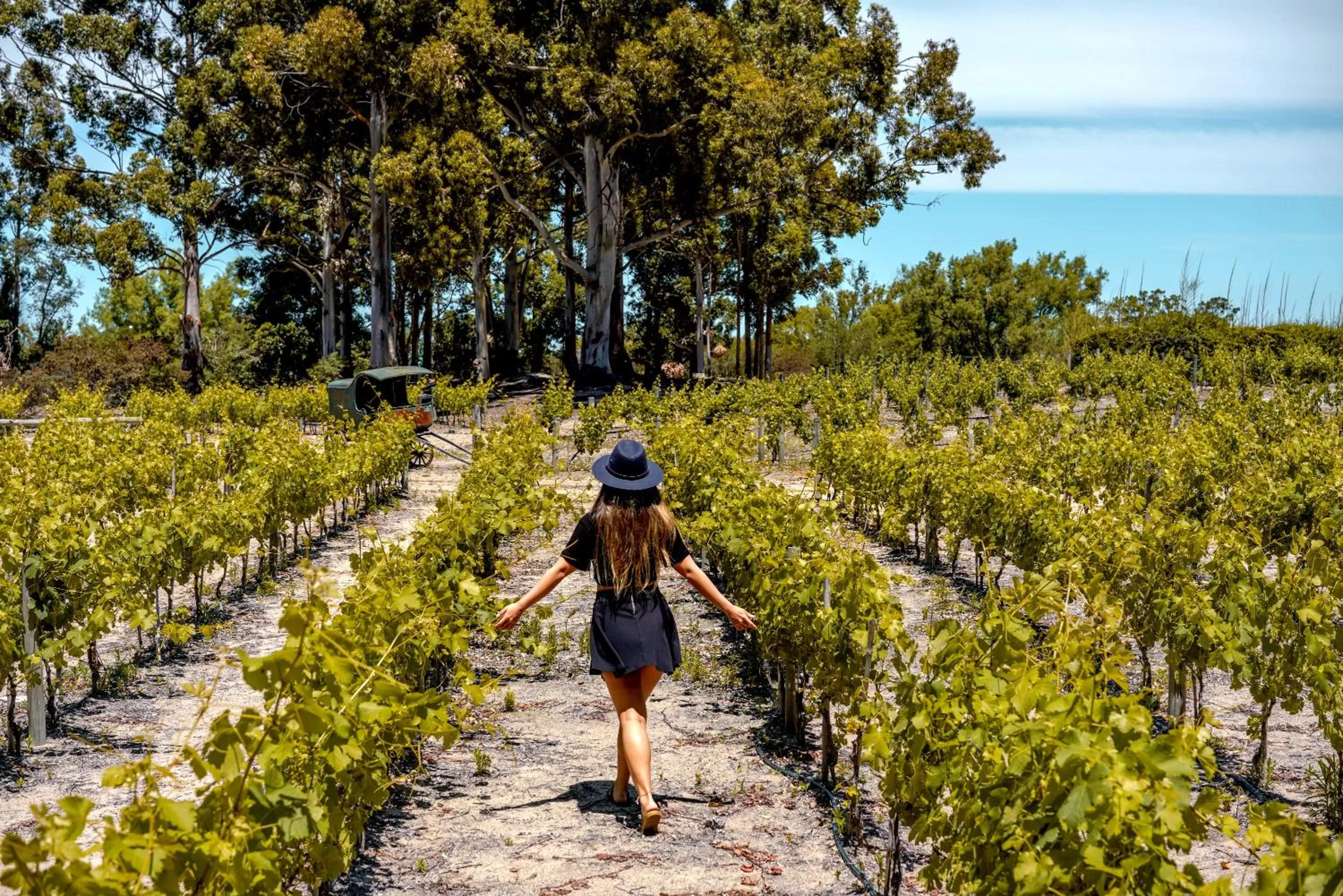 Spring in Carmelo Resort & Spa