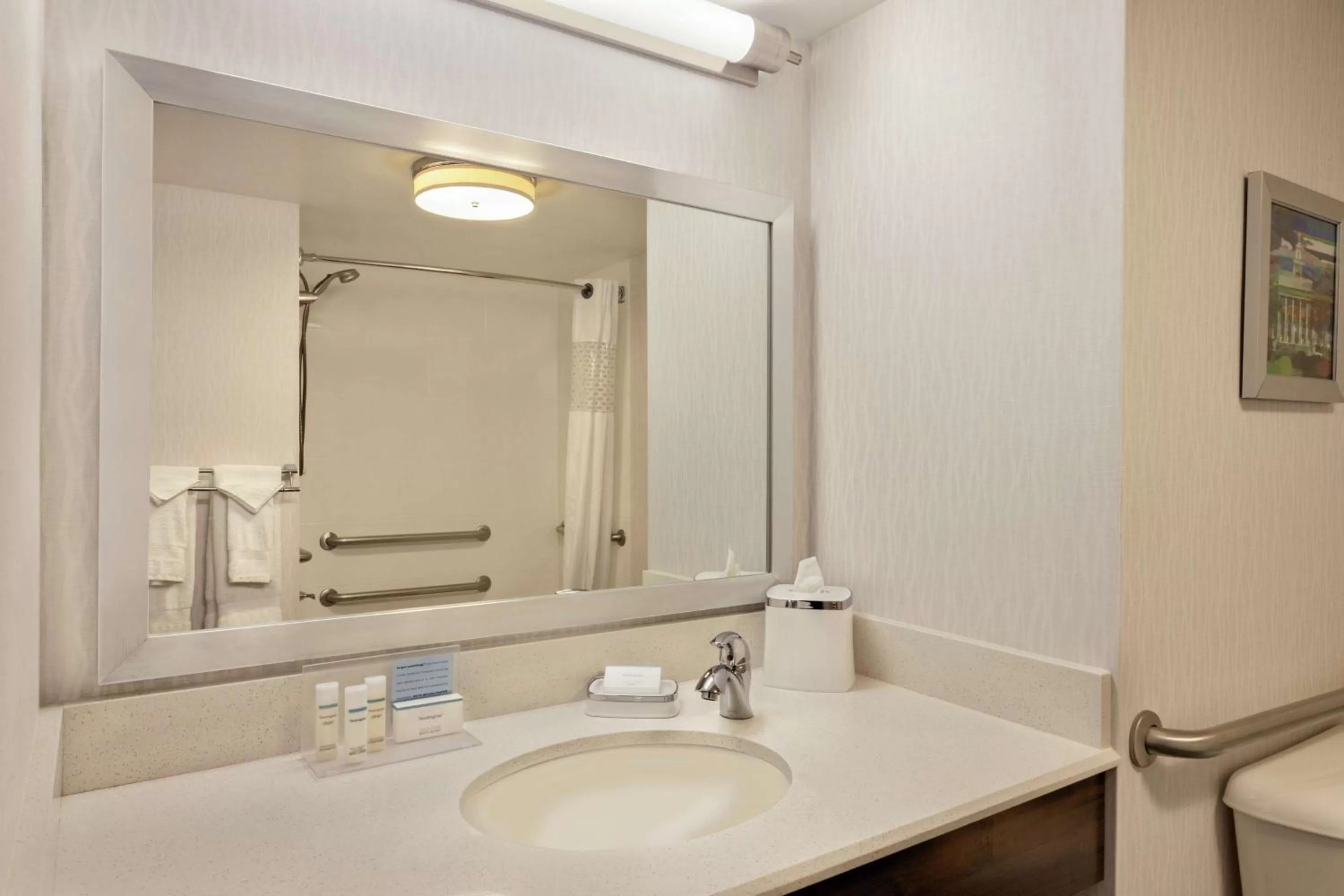 Bathroom in Hampton Inn Birmingham-Trussville