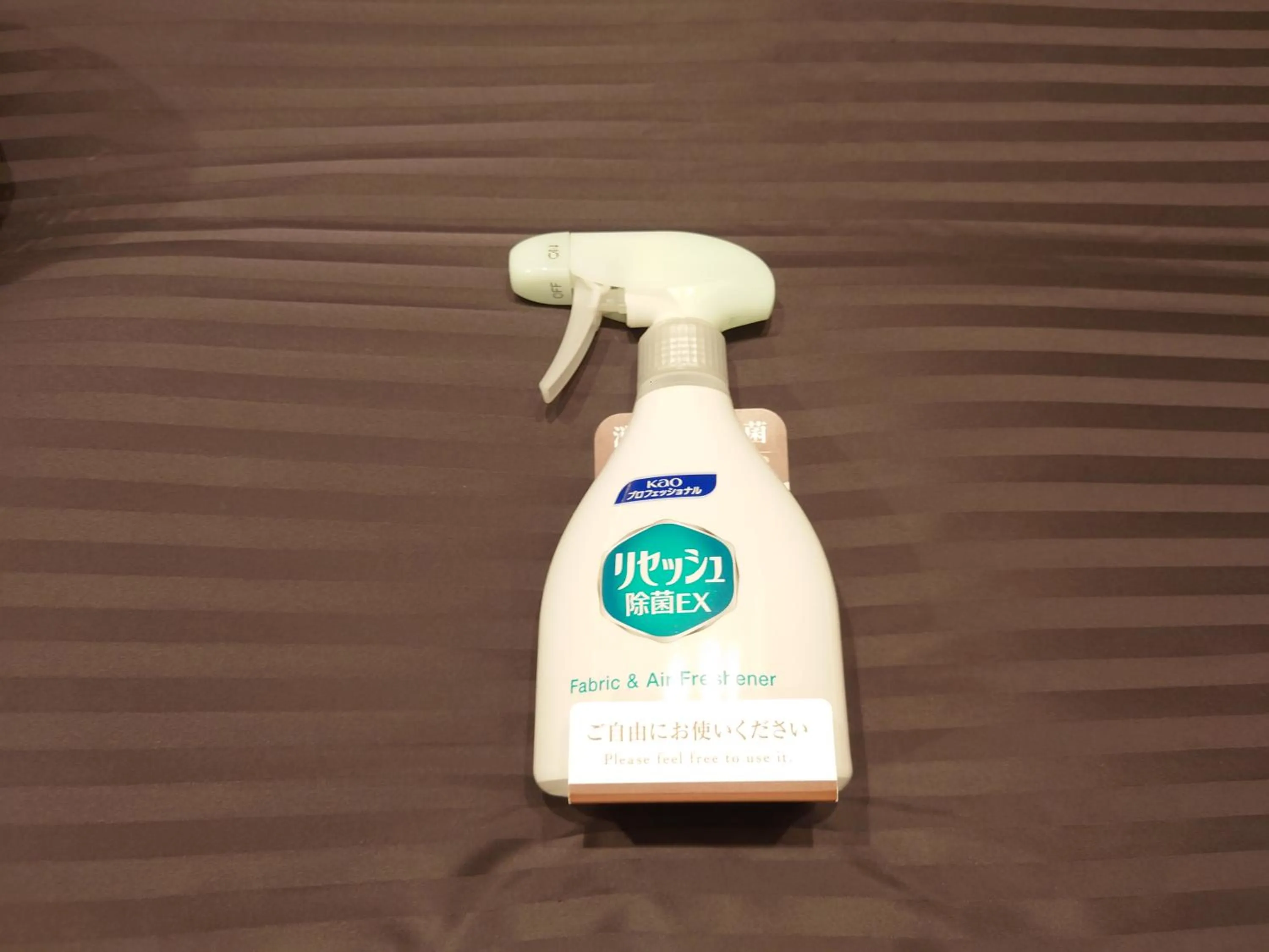 Photo of the whole room in Ochanomizu Inn